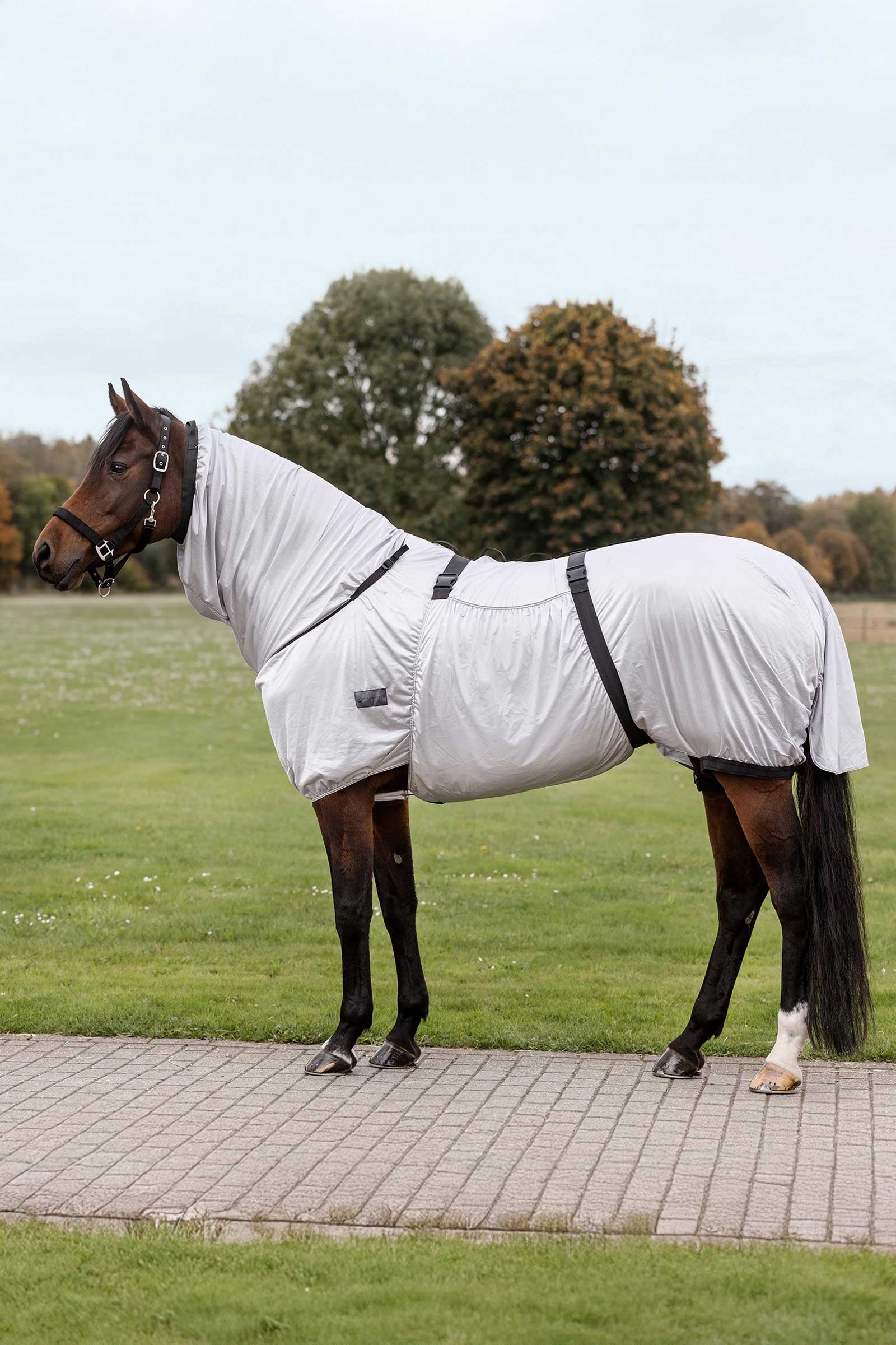 Waldhausen deka proti ekzému Horse Rugs