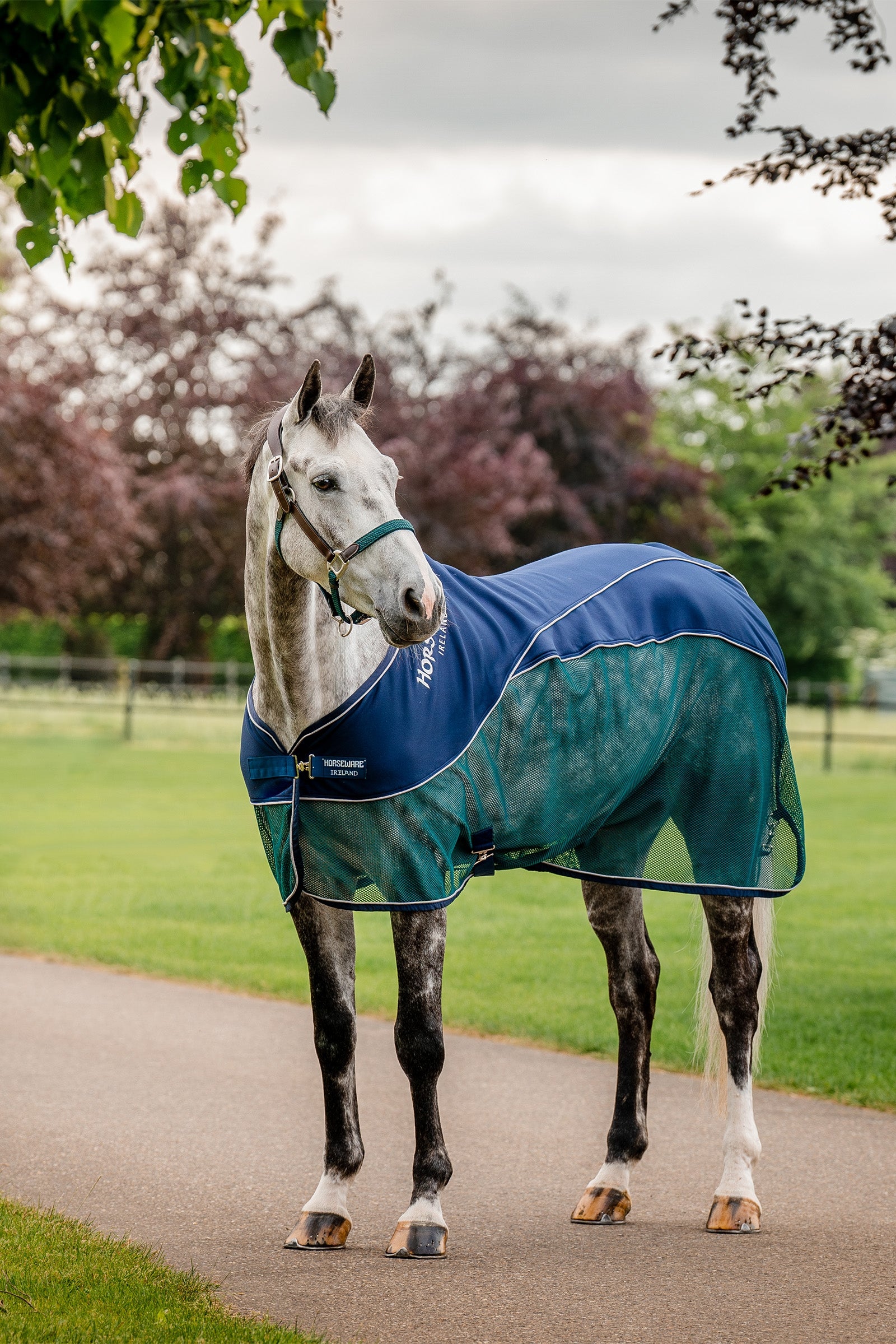 Horseware Signature Sport odvodňovací deka Horse Rugs