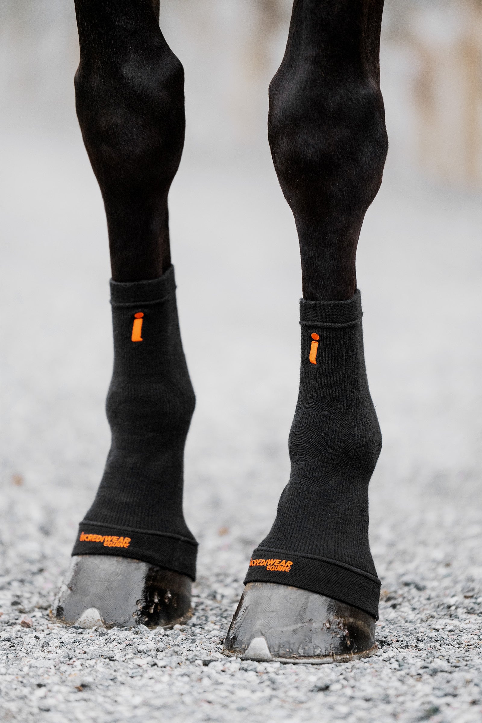 Incrediwear Kopytní ponožky Equine Leg Protection & Hoof Protection for Horses