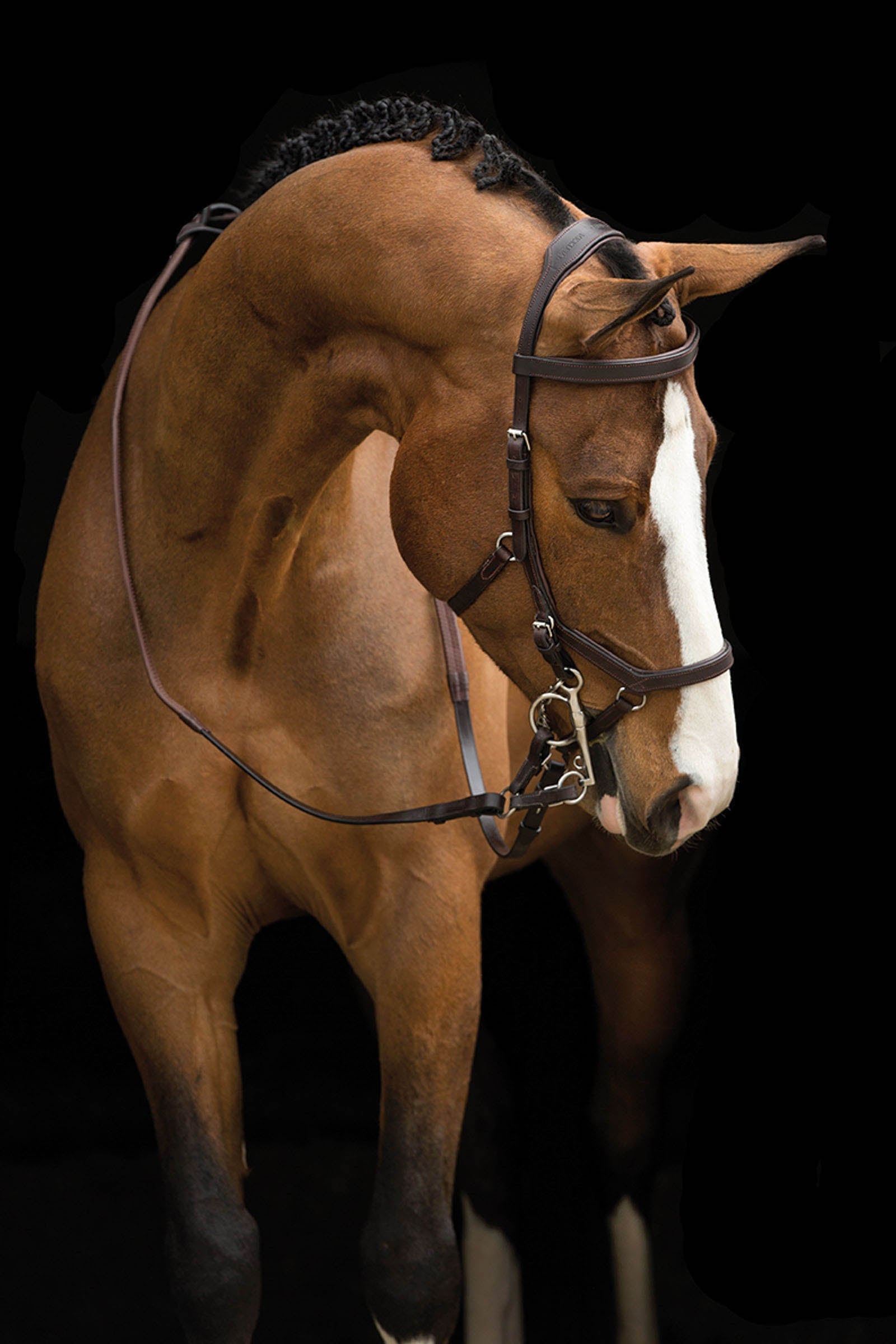 Horseware Rambo Micklem uzdečka na soutěže Bridles & Reins