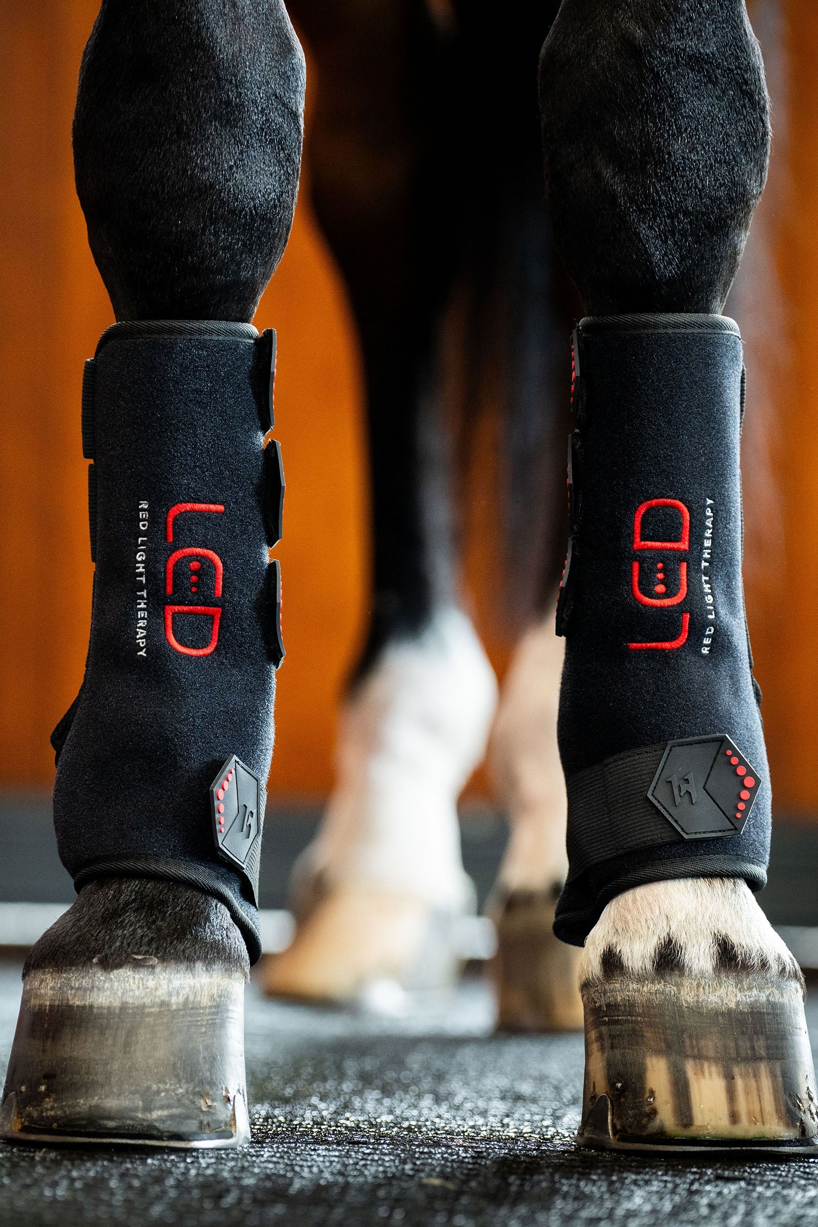 Horseware LED červený terapeutický chránič na nohu (1 ks) Leg Protection & Hoof Protection for Horses