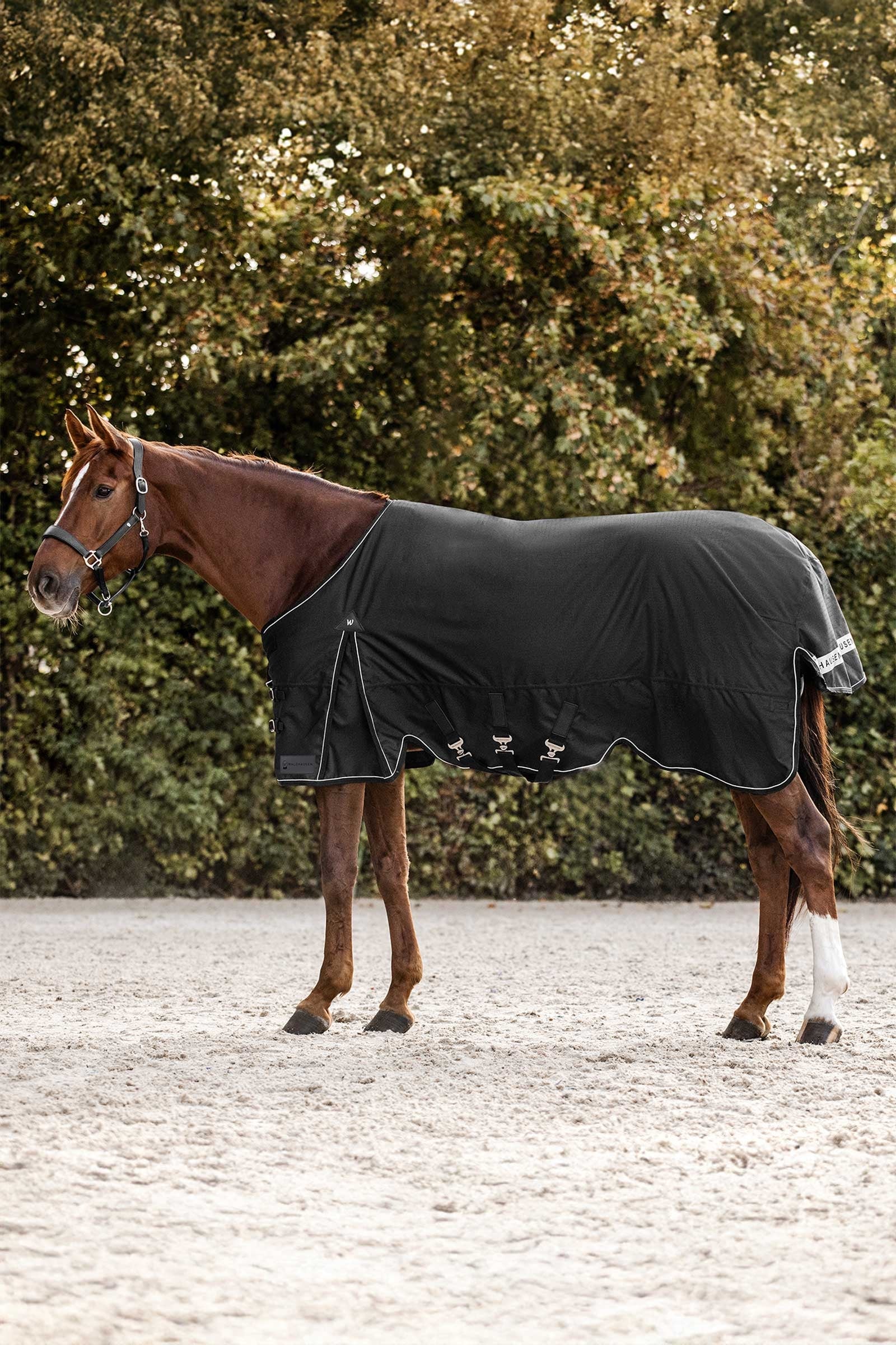 Waldhausen Scandic Výběhové deky, 200 g Horse Rugs