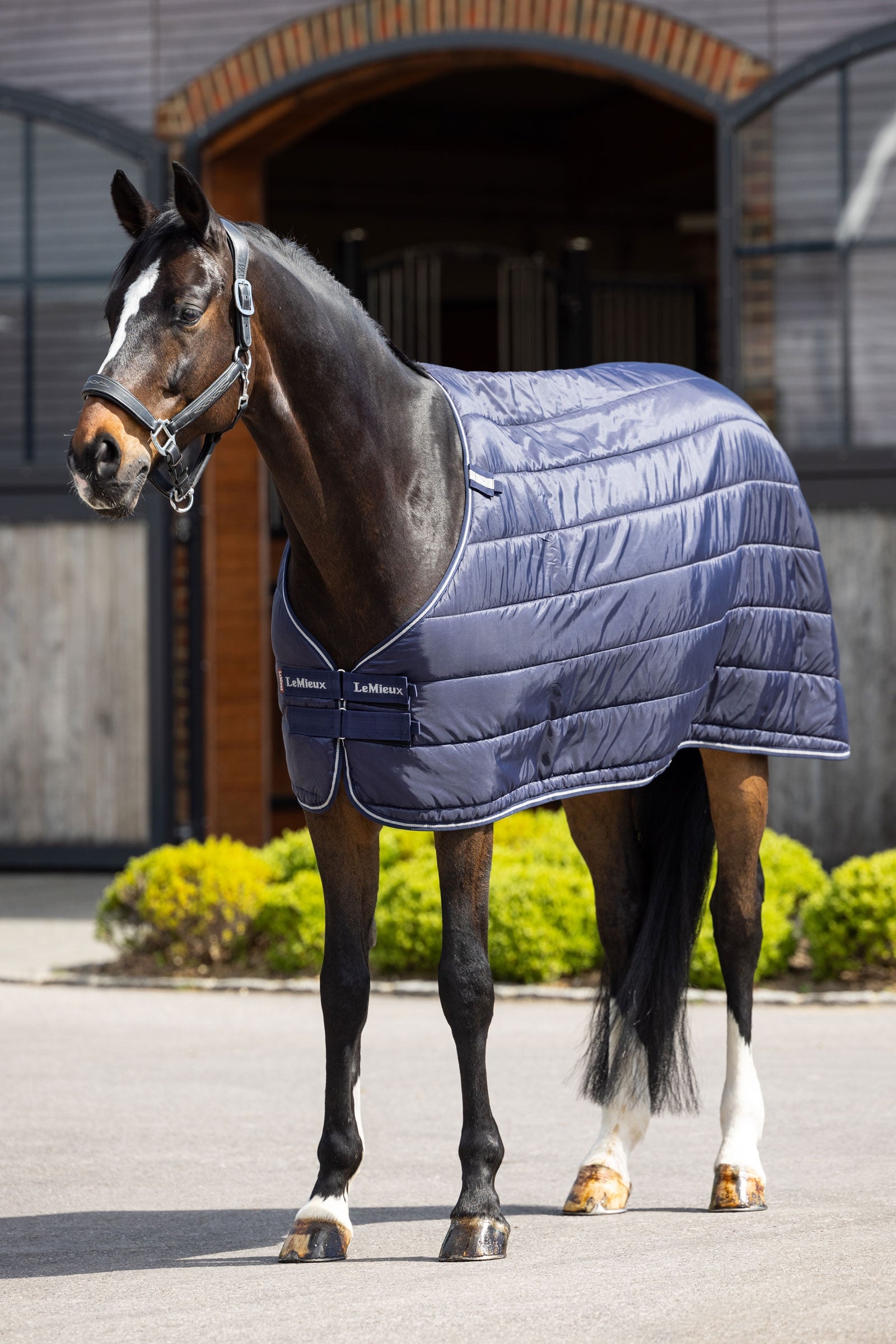 LeMieux termodeka, 200 g Horse Rugs