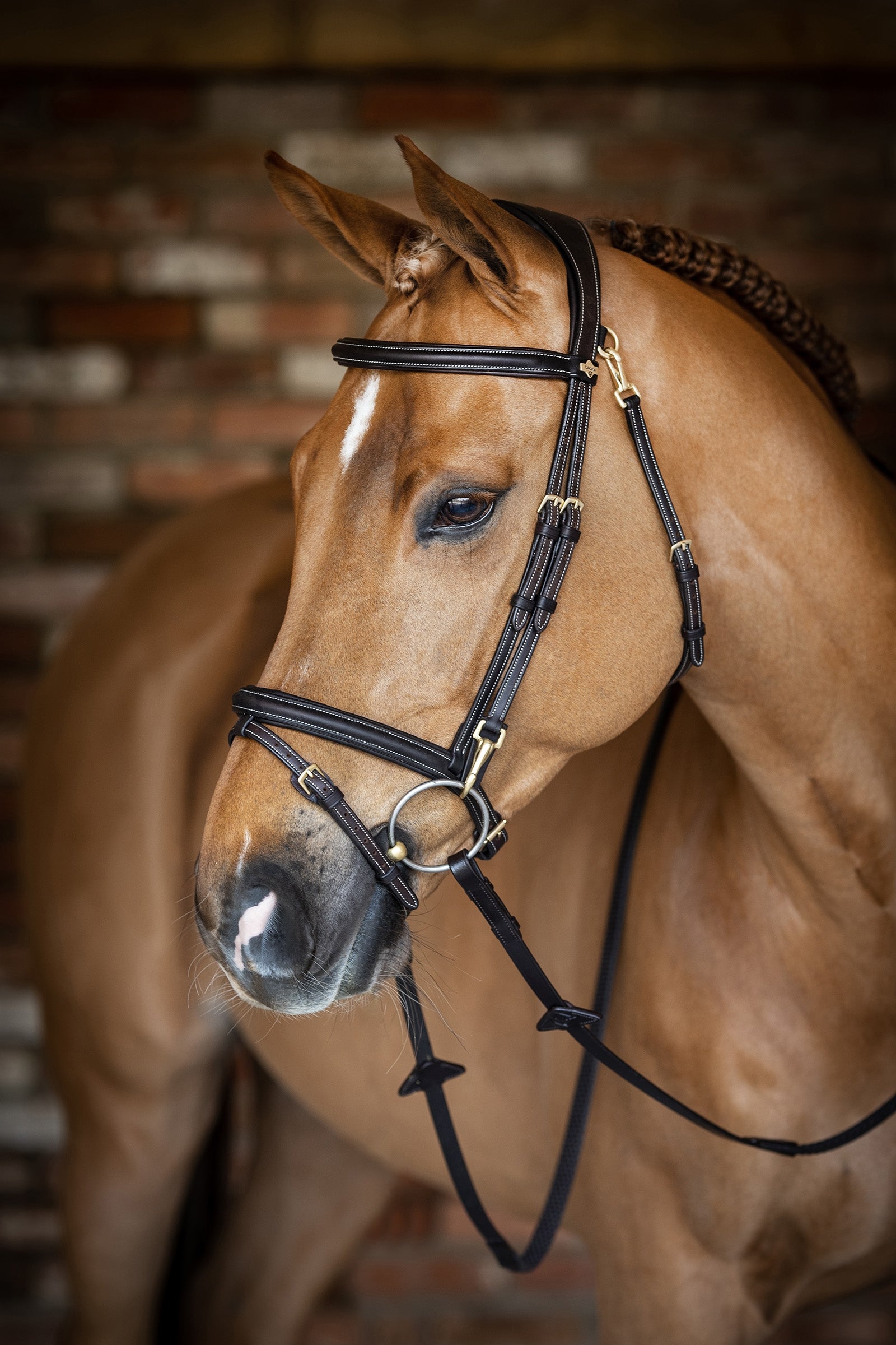 LeMieux Pracovní uzda Kudos Bridles & Reins