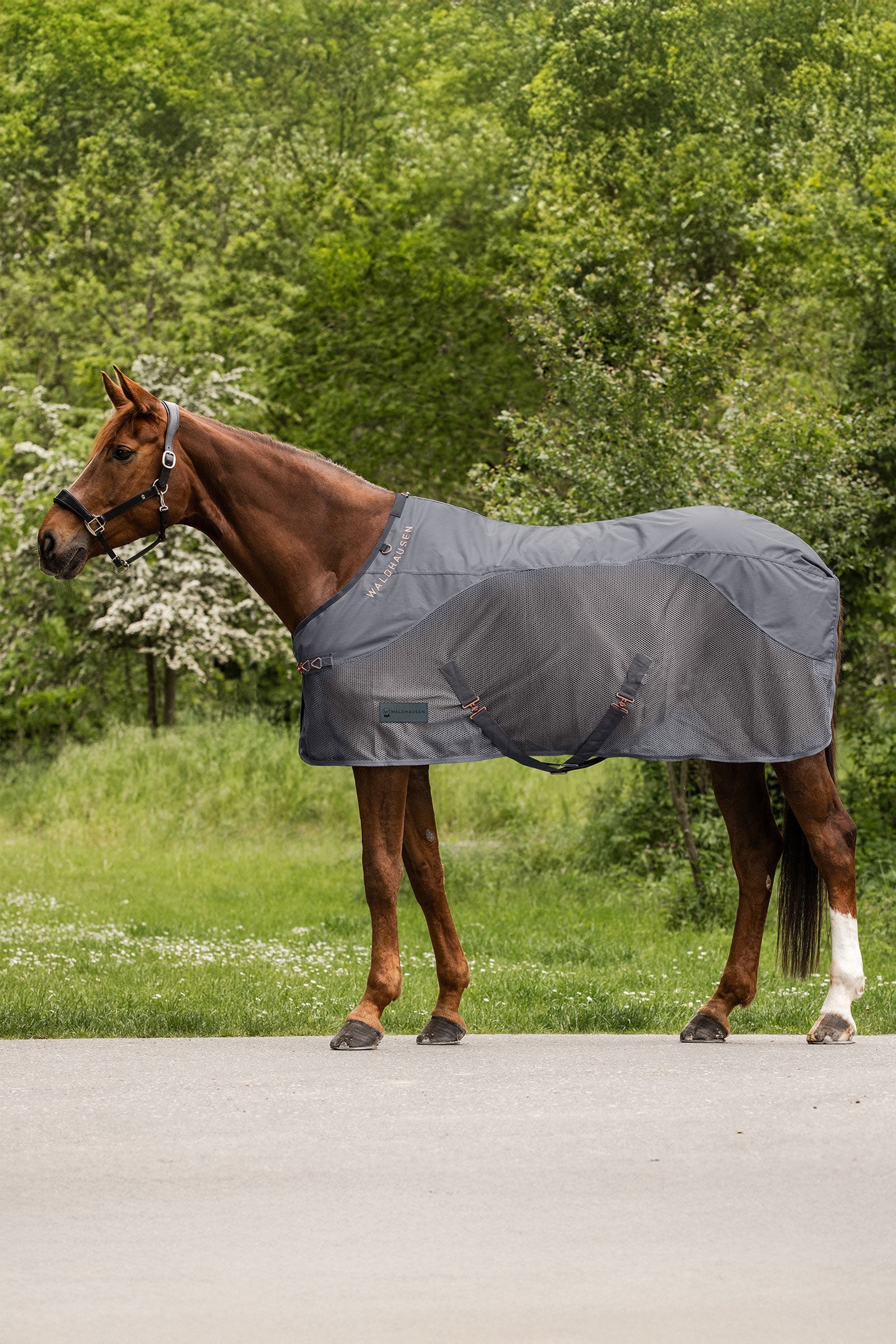 Waldhausen Comfort deka proti dešti a hmyzu Horse Rugs
