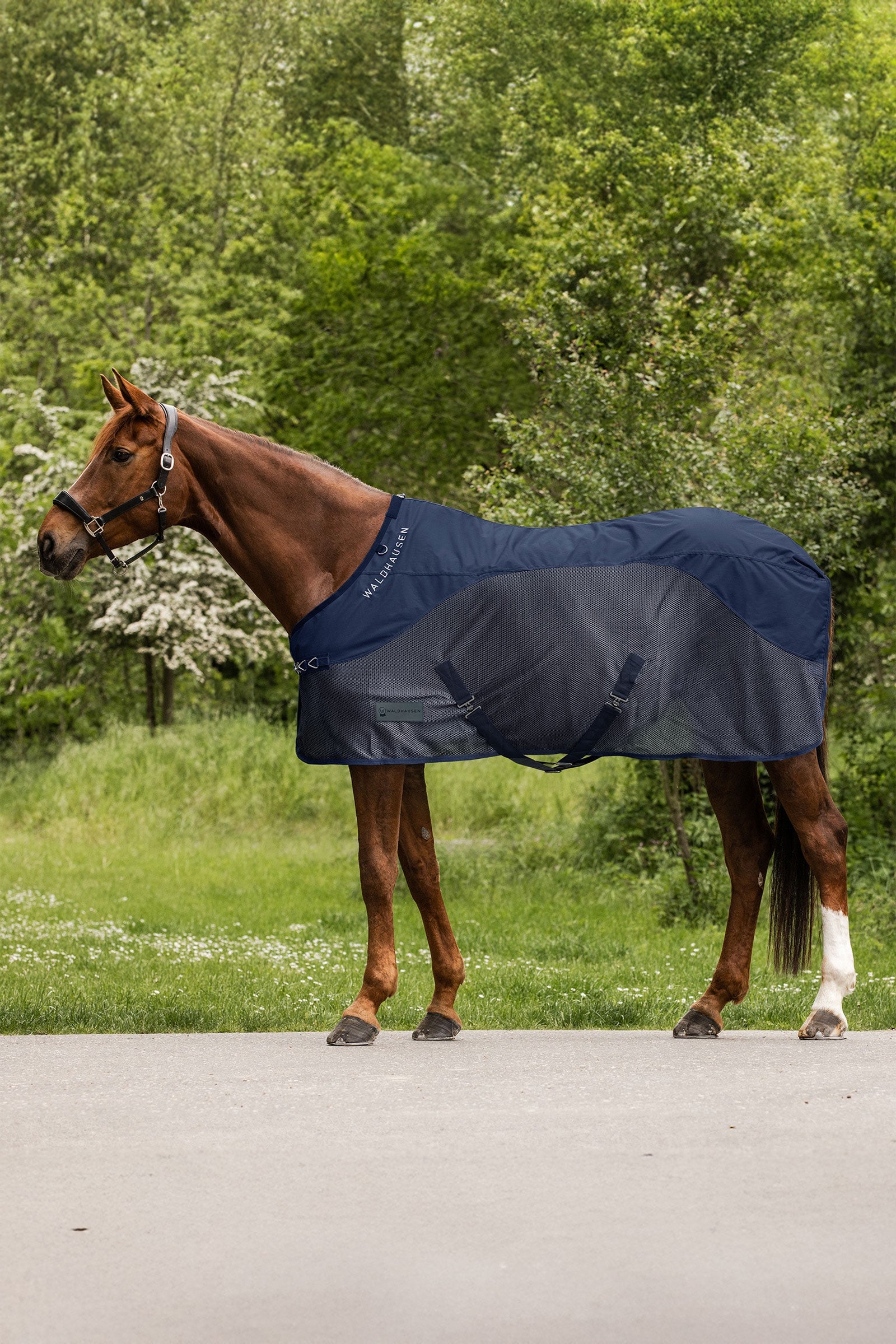 Waldhausen Comfort deka proti dešti a hmyzu Horse Rugs