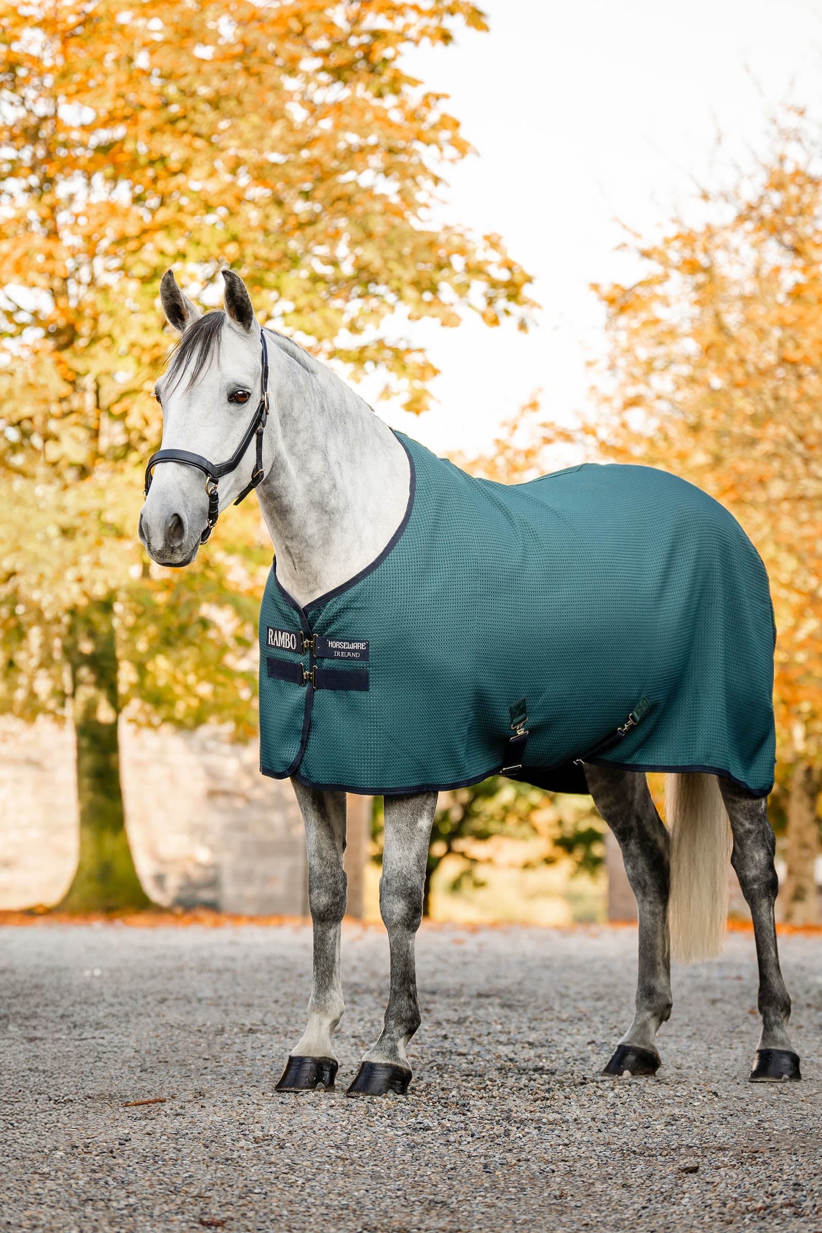 Horseware Rambo Techni Waffle odpocovací deka Horse Rugs