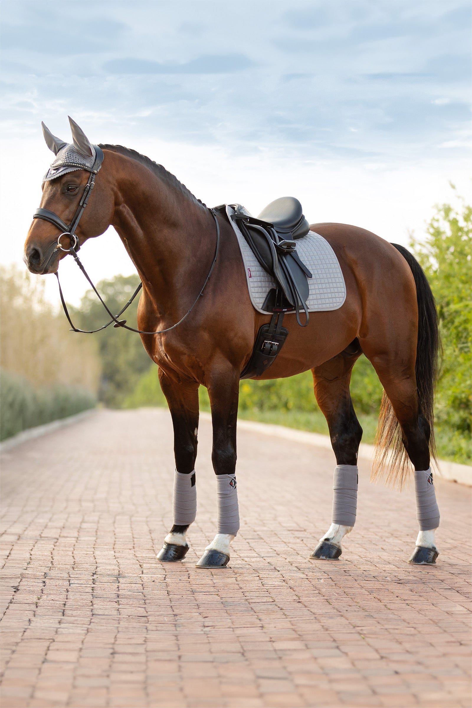 LeMieux Suede drezurní podsedlová decka Saddle Pads