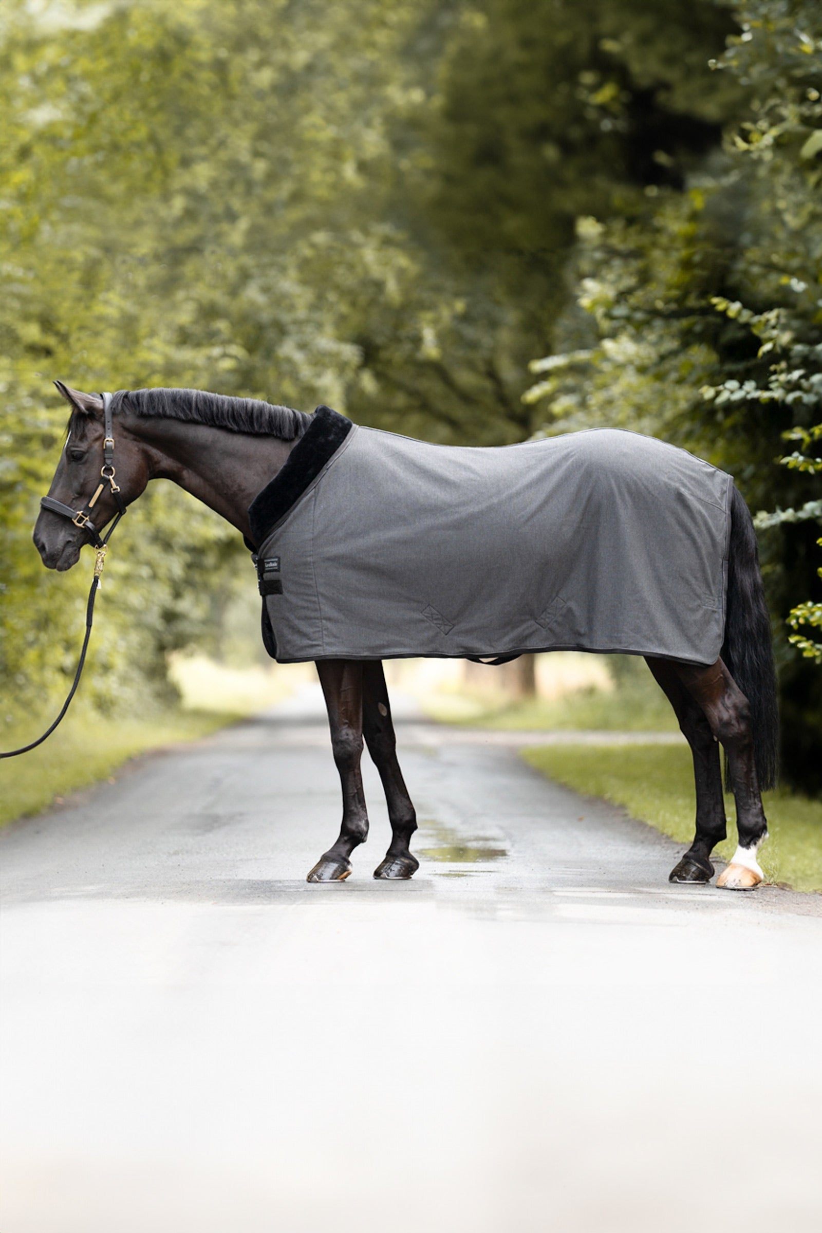 Kavalkade Elegance Cestovní a chladící deka Horse Rugs