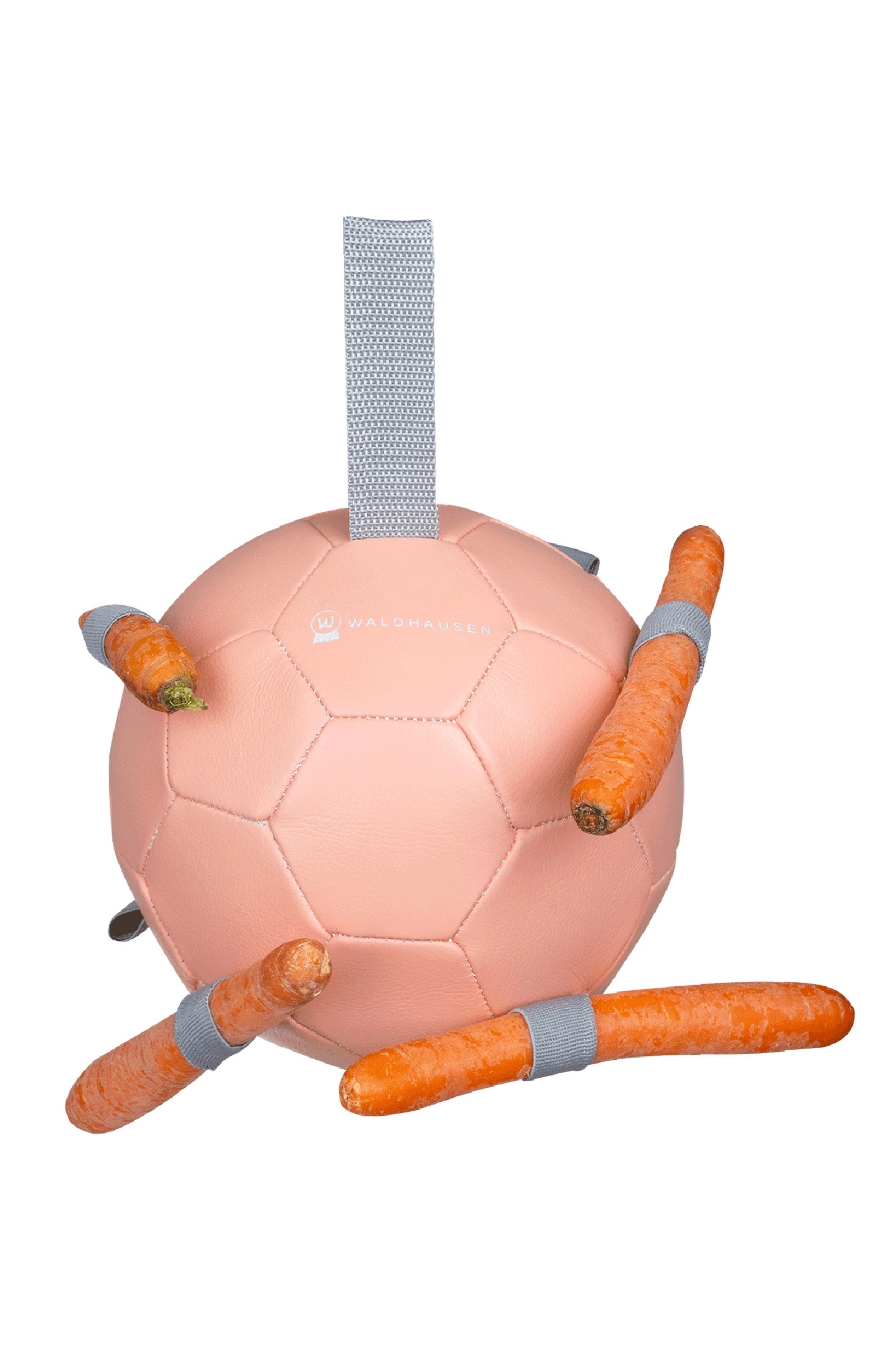 Waldhausen Mrkev míč Horse Toys & Riding Arena Supplies
