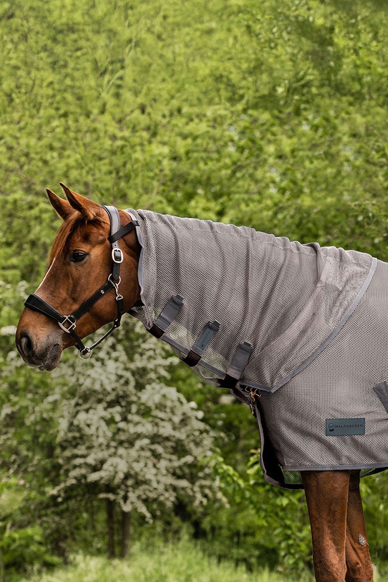 Waldhausen Comfort muchový nákrčník Horse Rugs