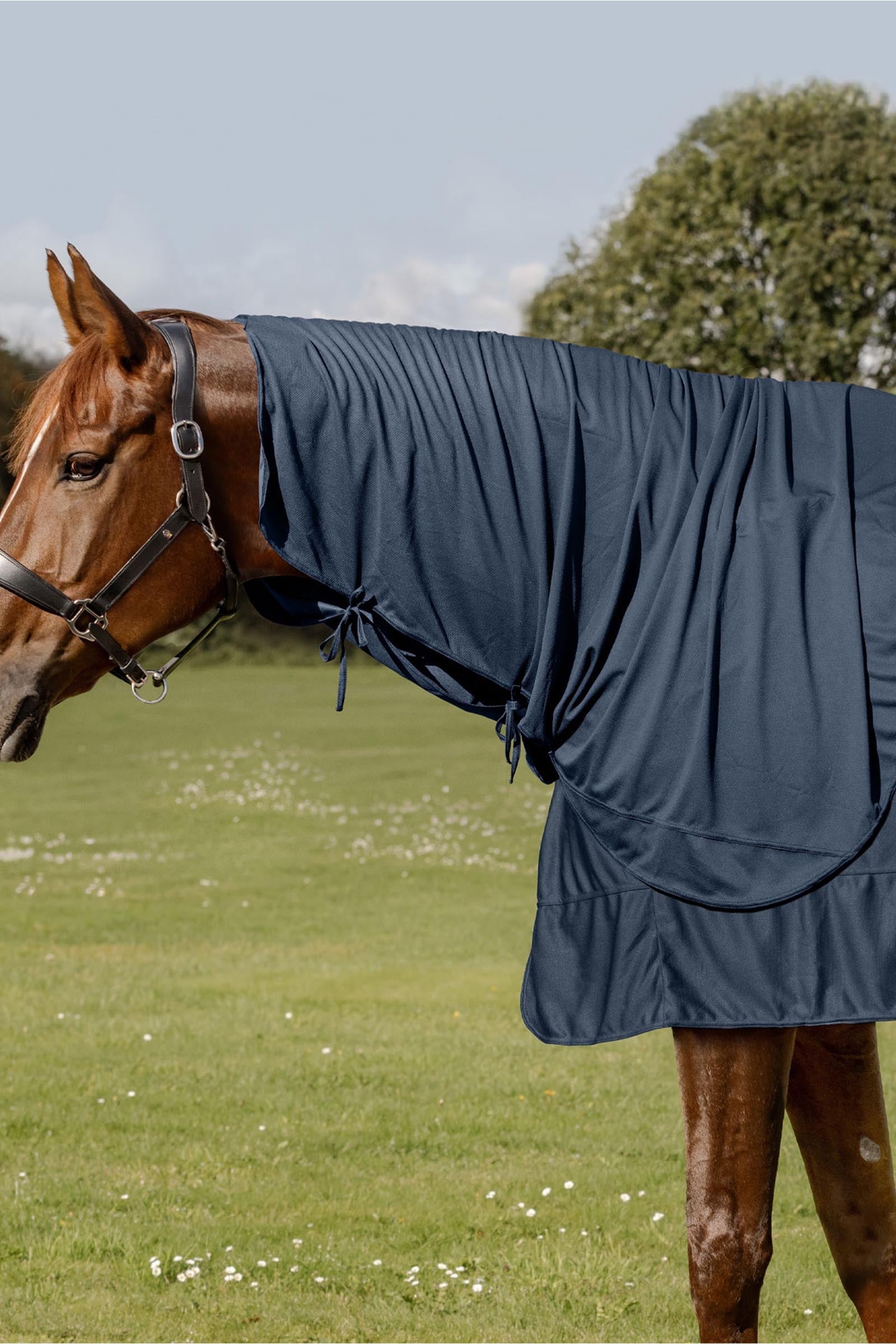 Waldhausen Health + Care Ice Layer krční část Horse Rugs