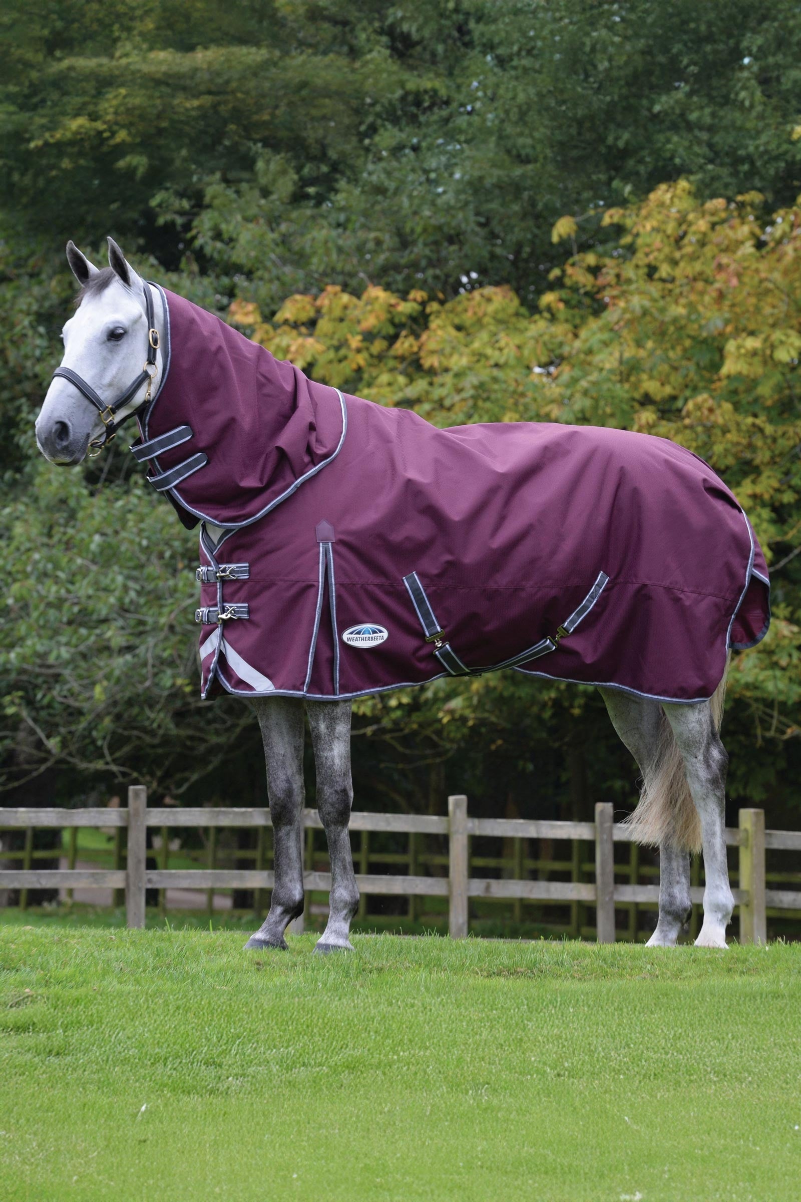 Weatherbeeta Comfitec Plus Dynamic II výběhová deka s odnímatelným krčním dílem, 220g Horse Rugs