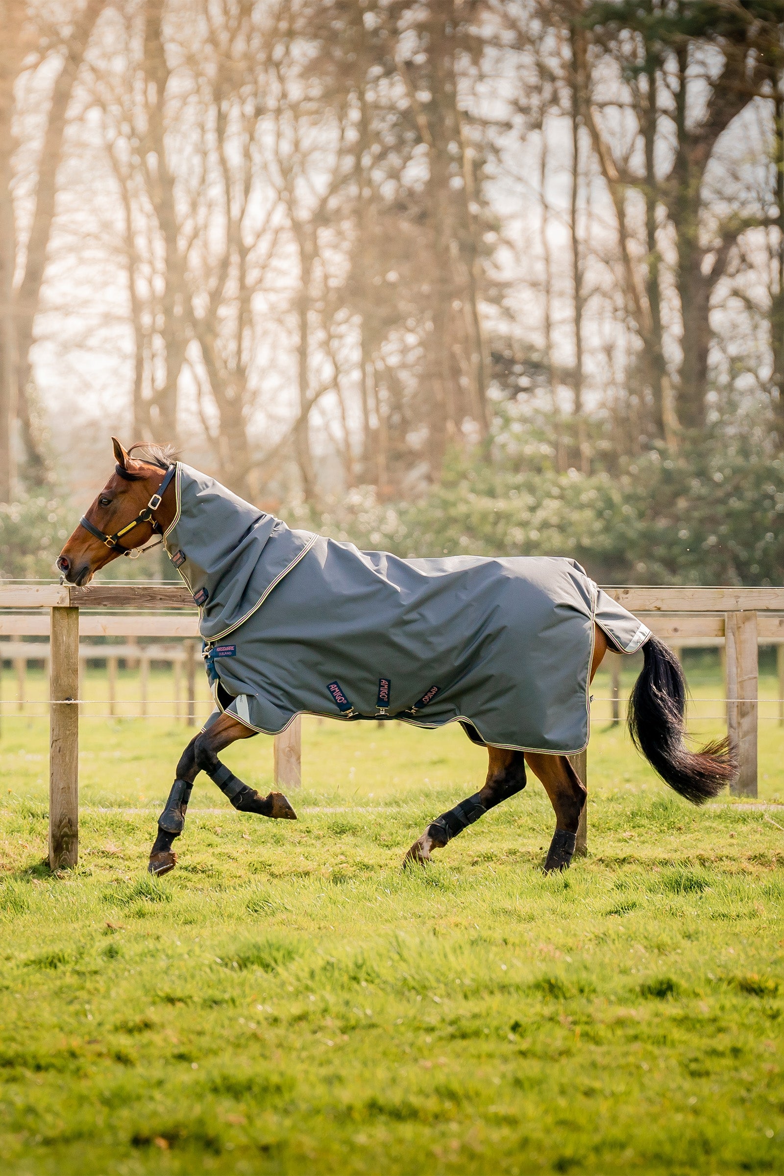 Horseware Amigo Bravo 12 Plus výběhová deka s odnímatelným krkem, 0g Horse Rugs