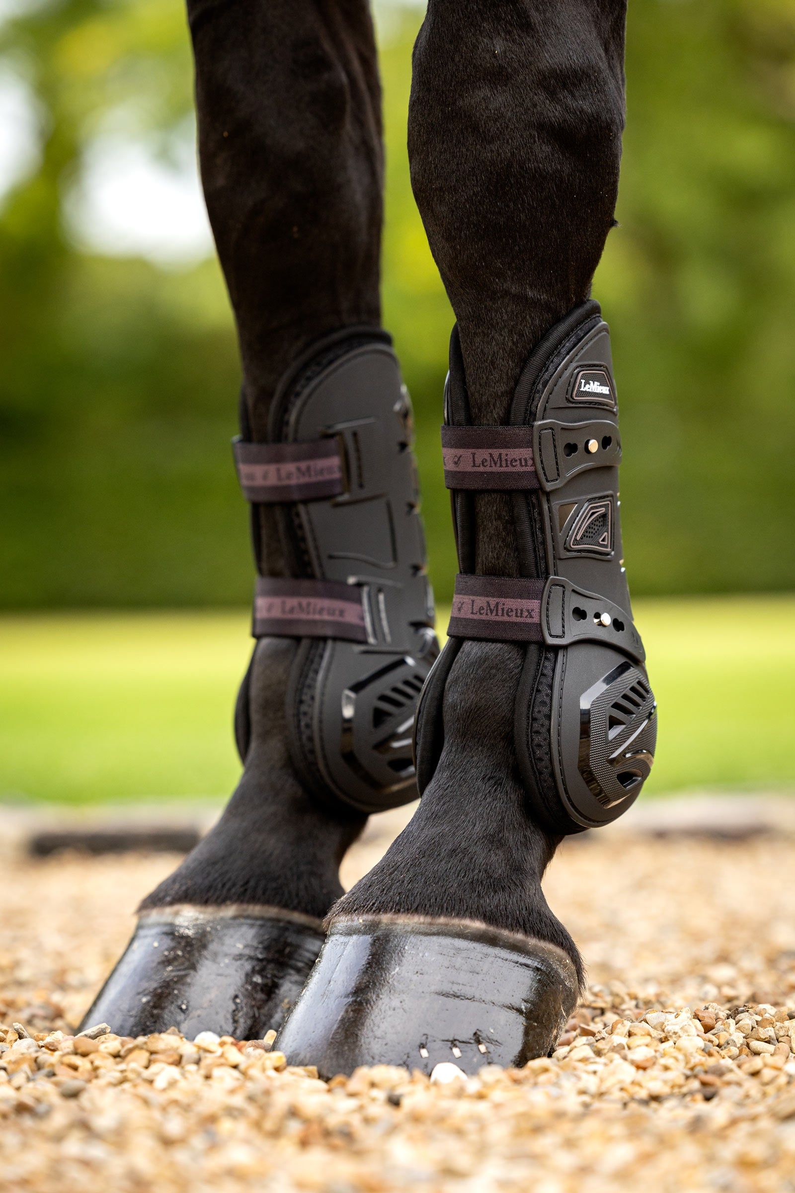 LeMieux Motion Cool Tendon Boot Leg Protection & Hoof Protection for Horses