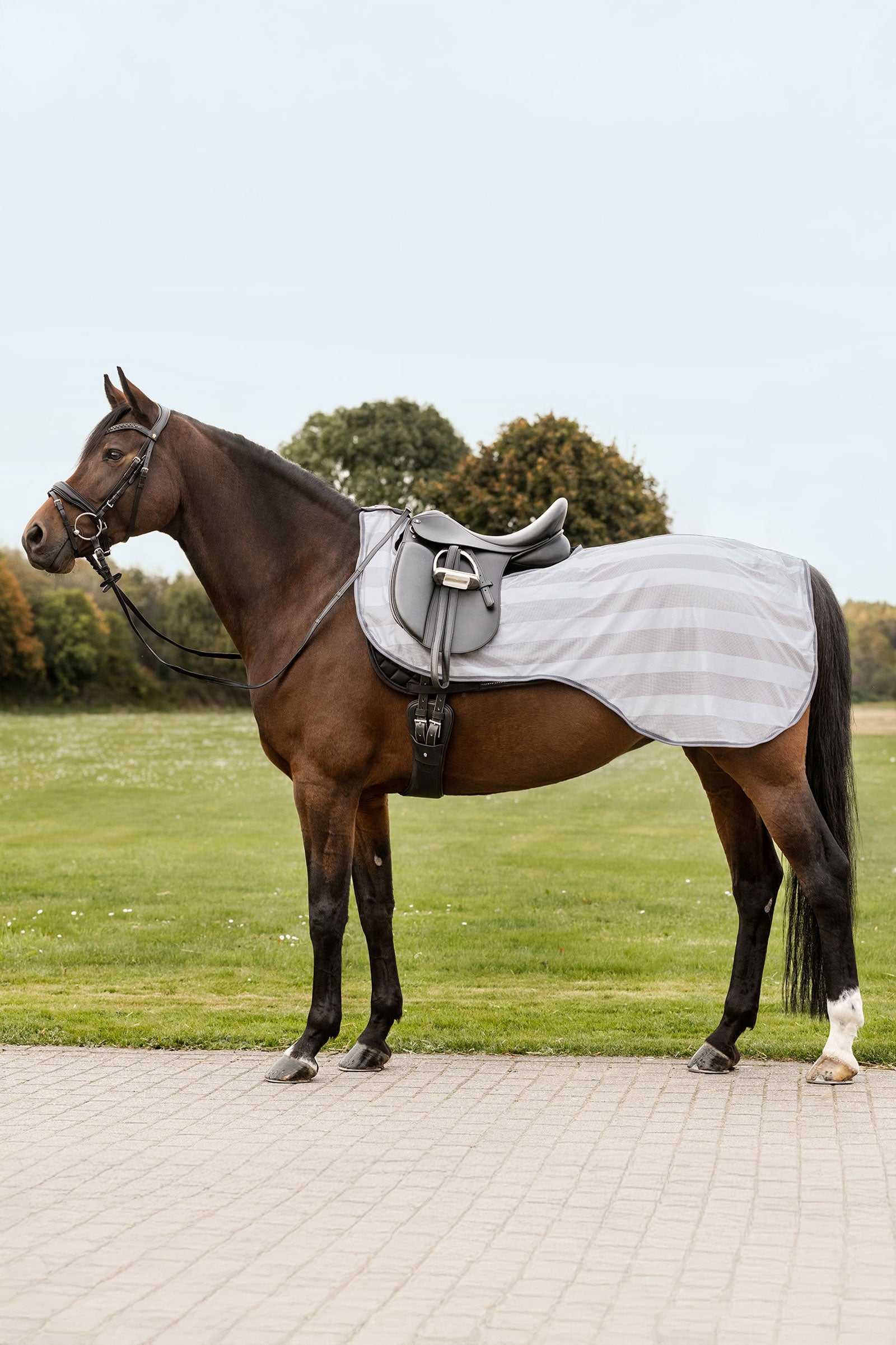 Waldhausen Economic muchová jezdecká deka Horse Rugs