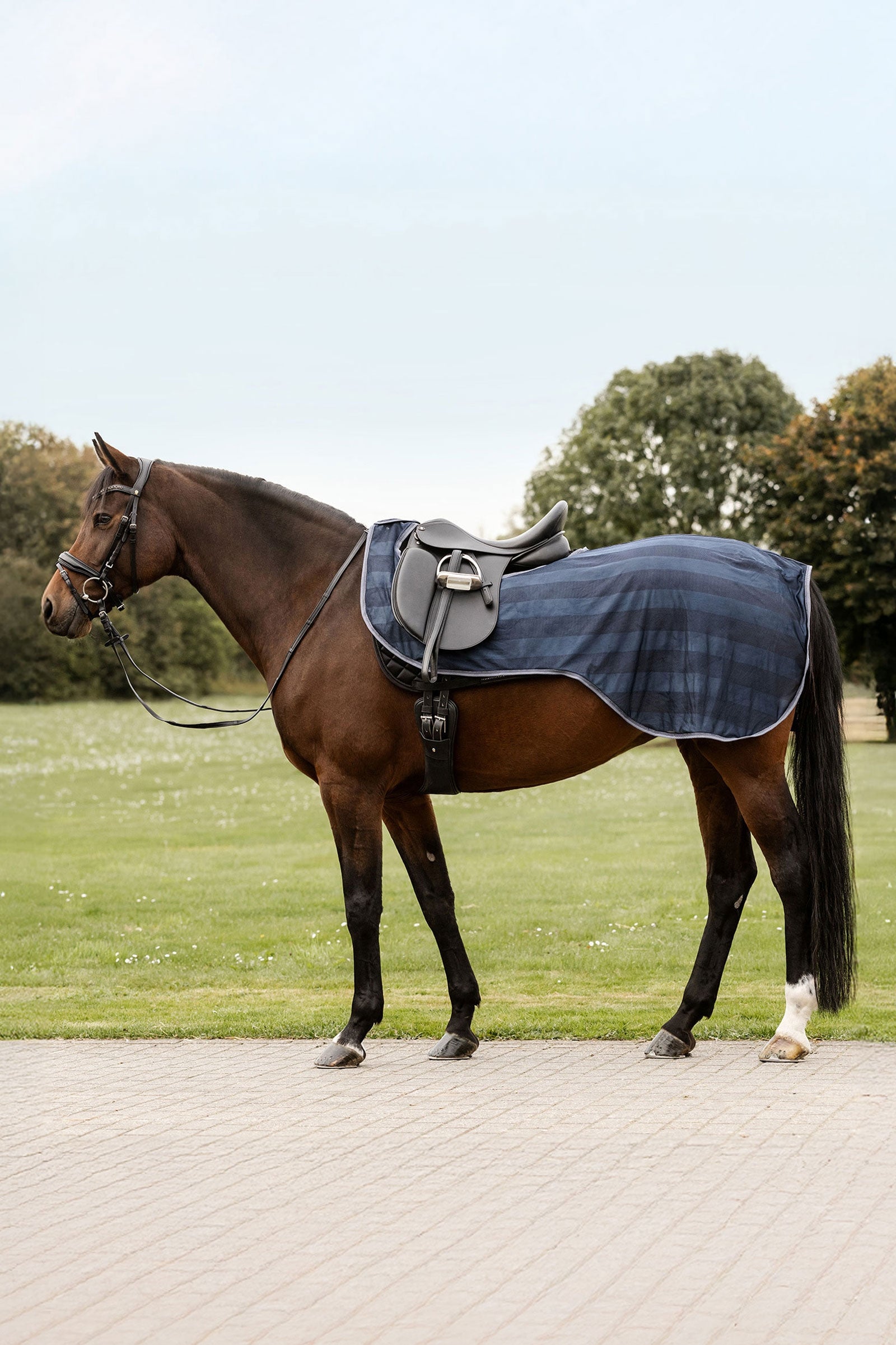 Waldhausen Economic muchová jezdecká deka Horse Rugs