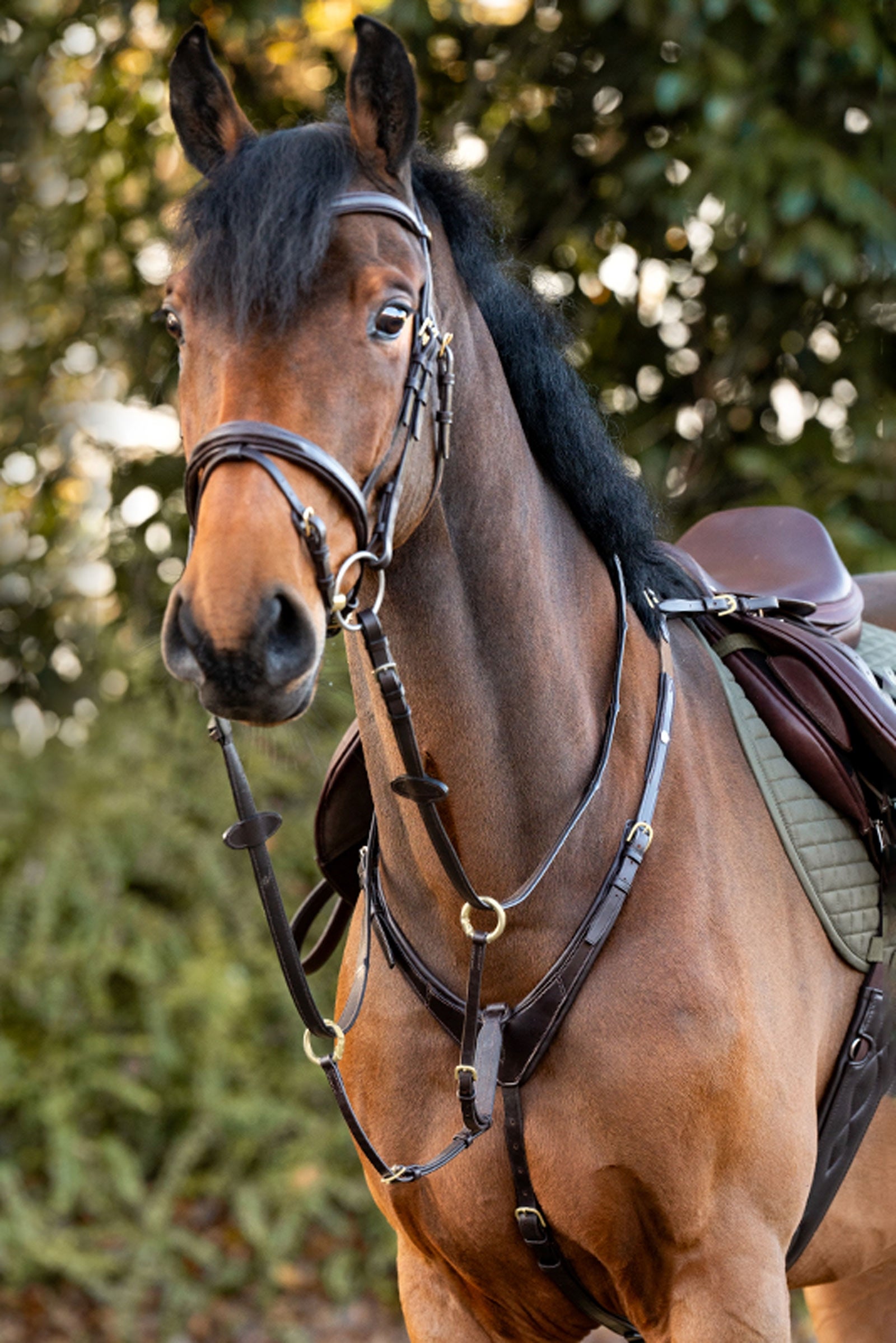 Kavalkade Jerome 2-bodový Poprsní Pás Bridles & Reins