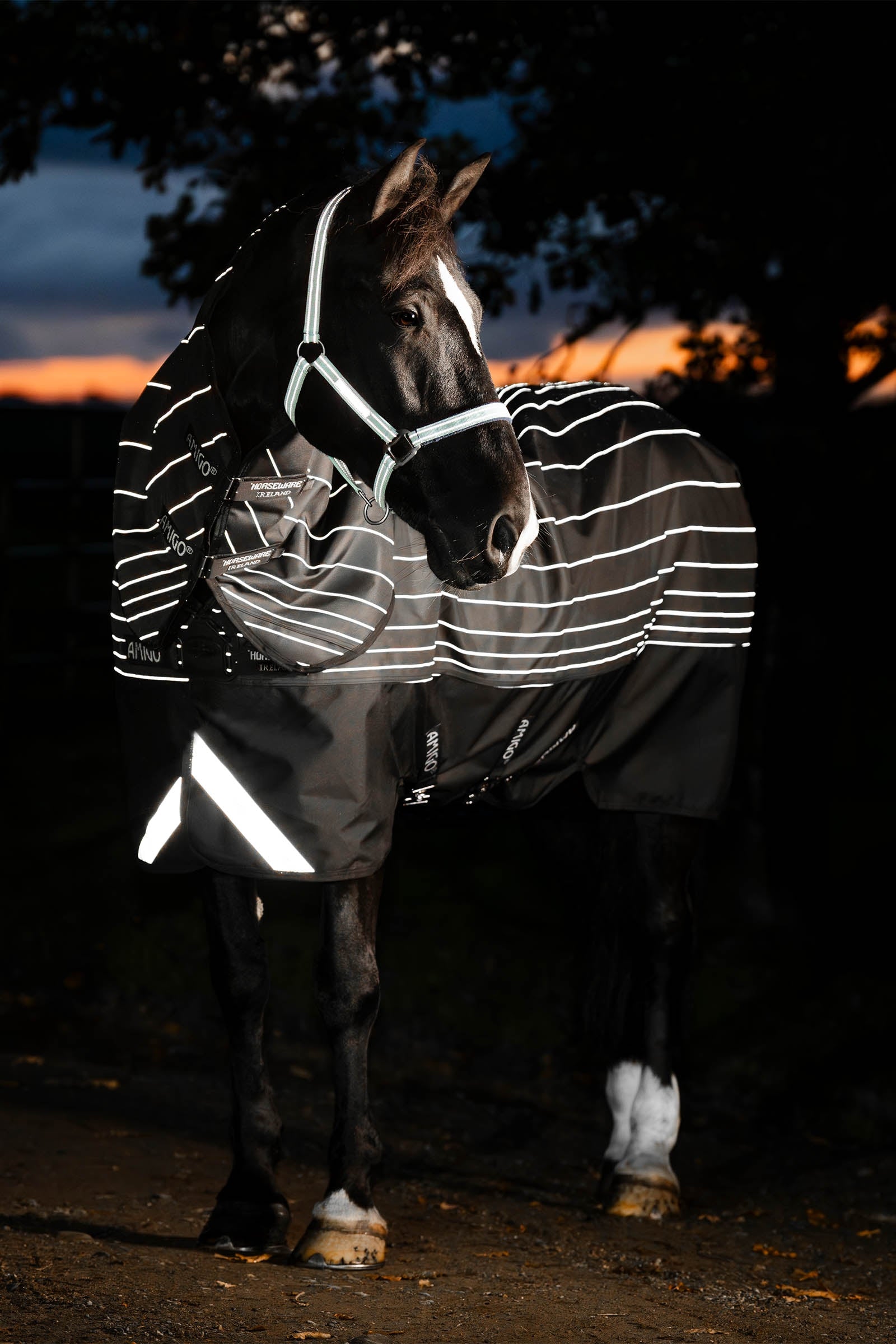 Horseware Amigo 1200D FieldSafe Reflectech Plus výběhová deka, 100 g Horse Rugs