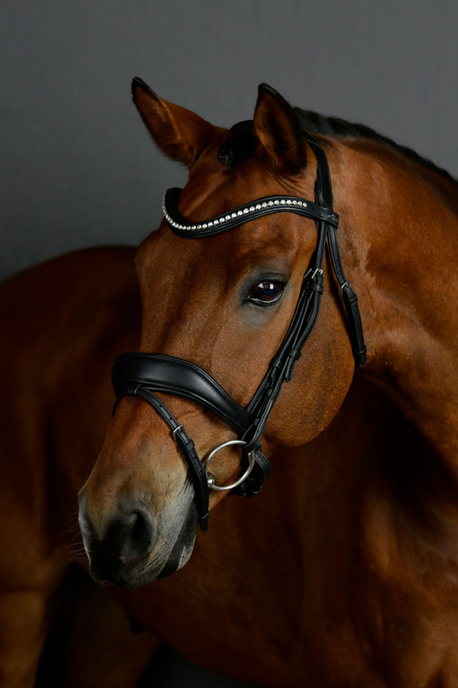 Collegiate Comfitec Opulux podložená drezurní uzdečka Bridles & Reins