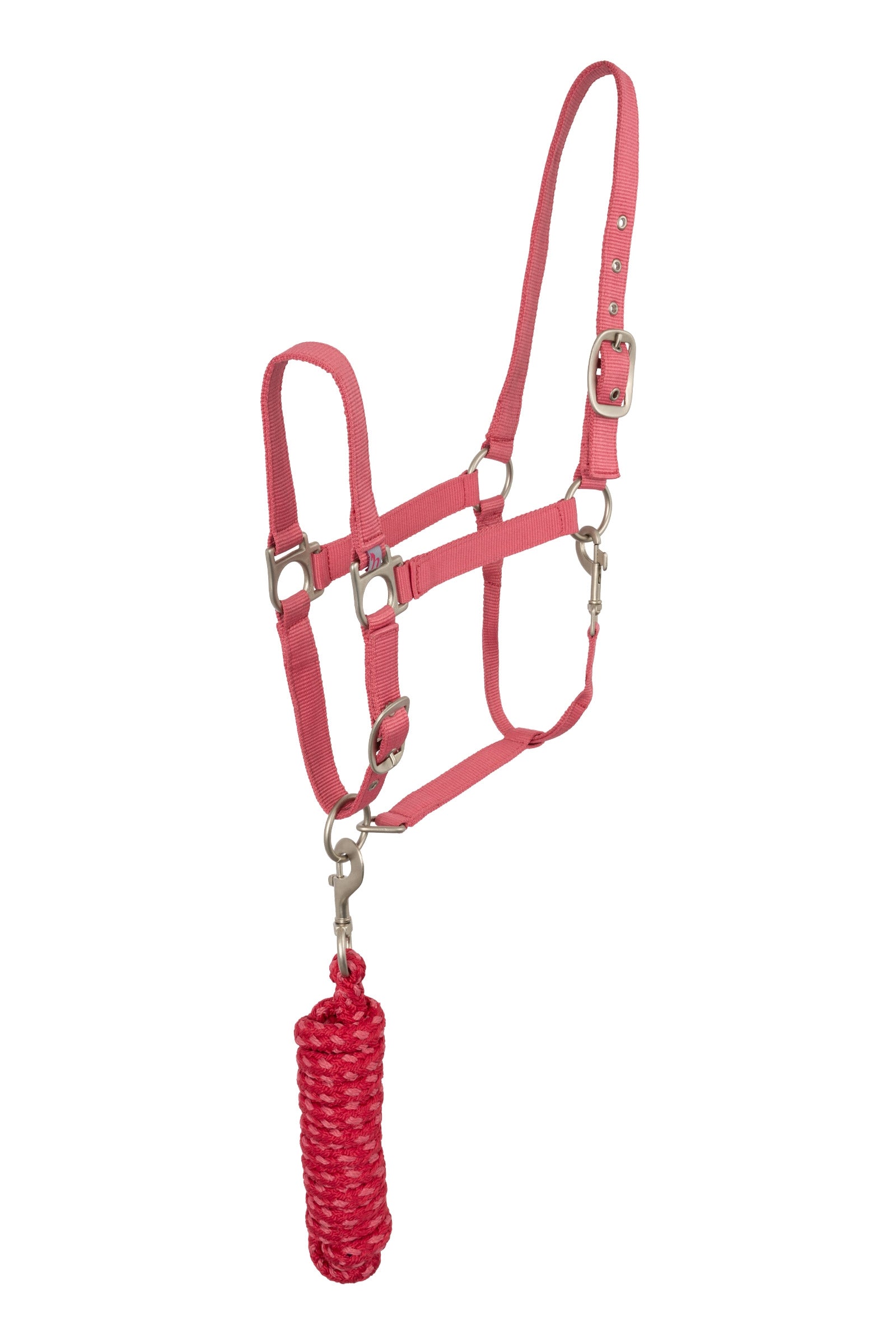 Horze Ohlávka Rose Tonique Halters & Leads
