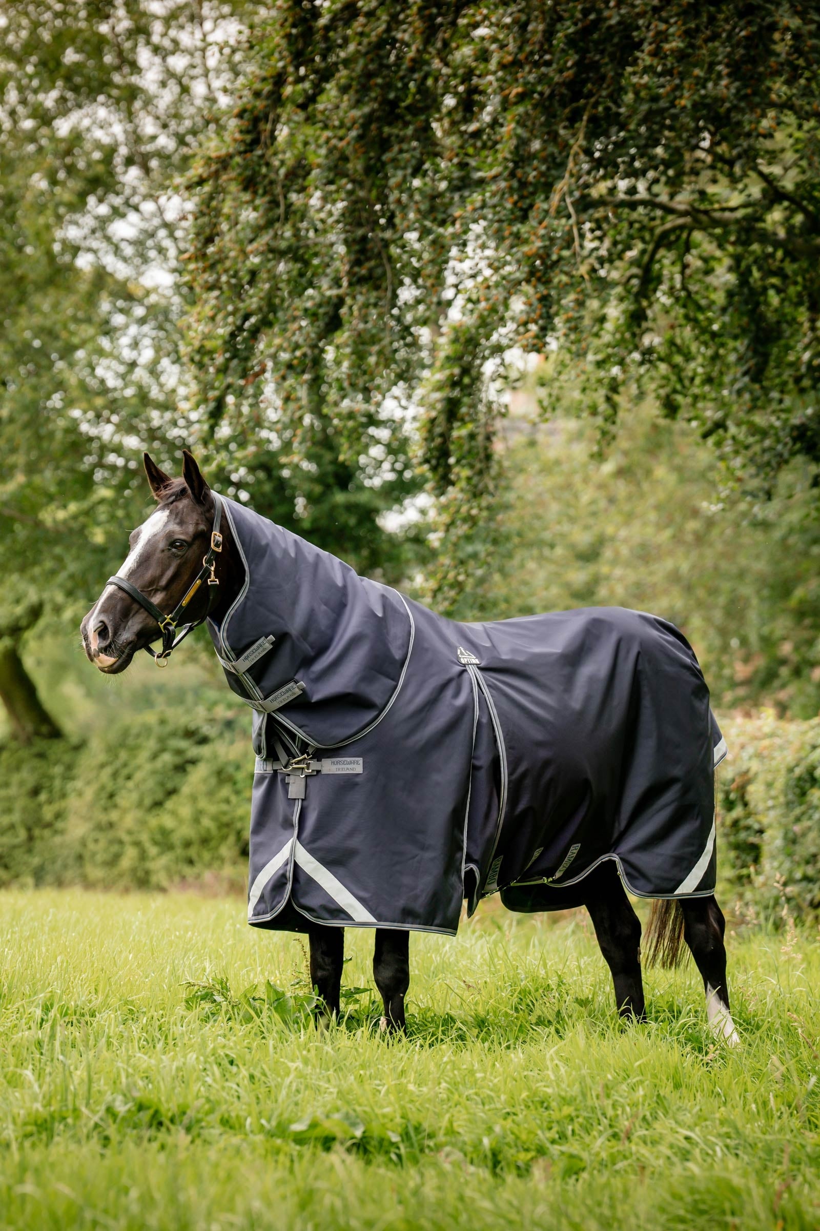 Horseware Rambo Optimo Plus Budle ( w/ 200g Liner) Horse Rugs