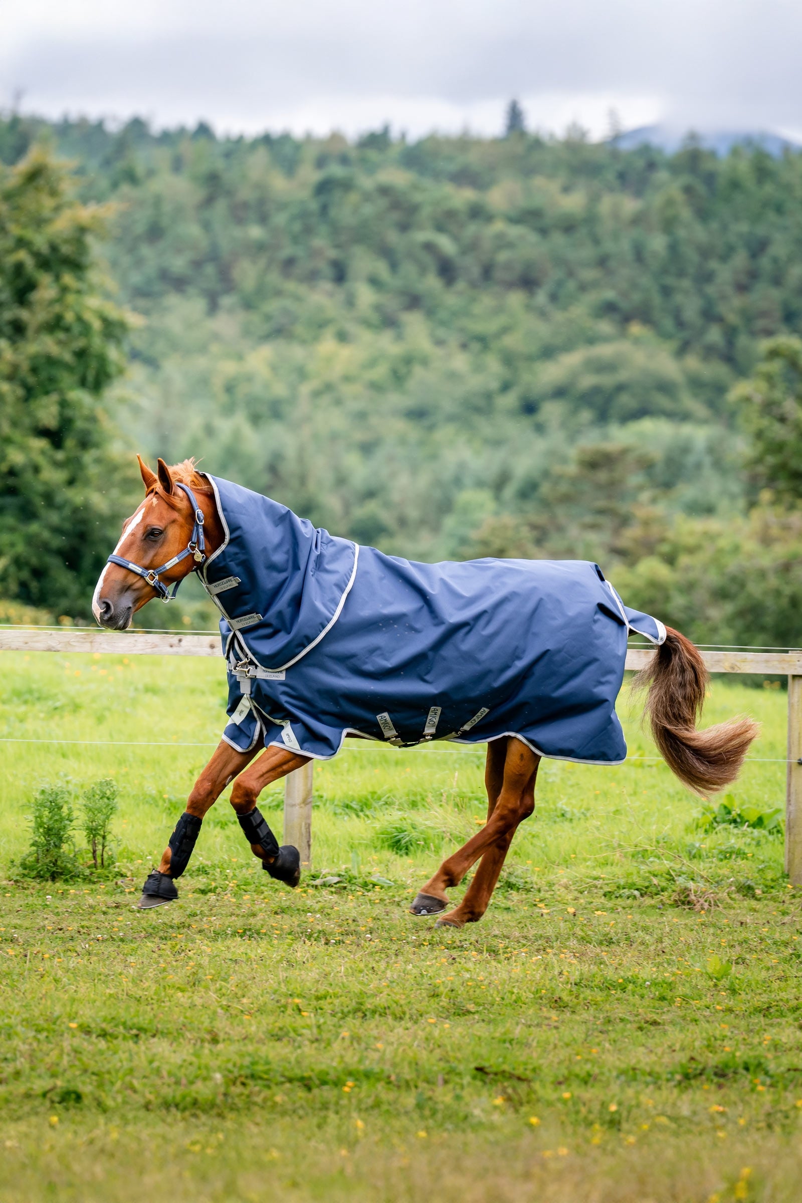 Horseware Amigo 1200D Plus výběhová deka, 50 g Horse Rugs