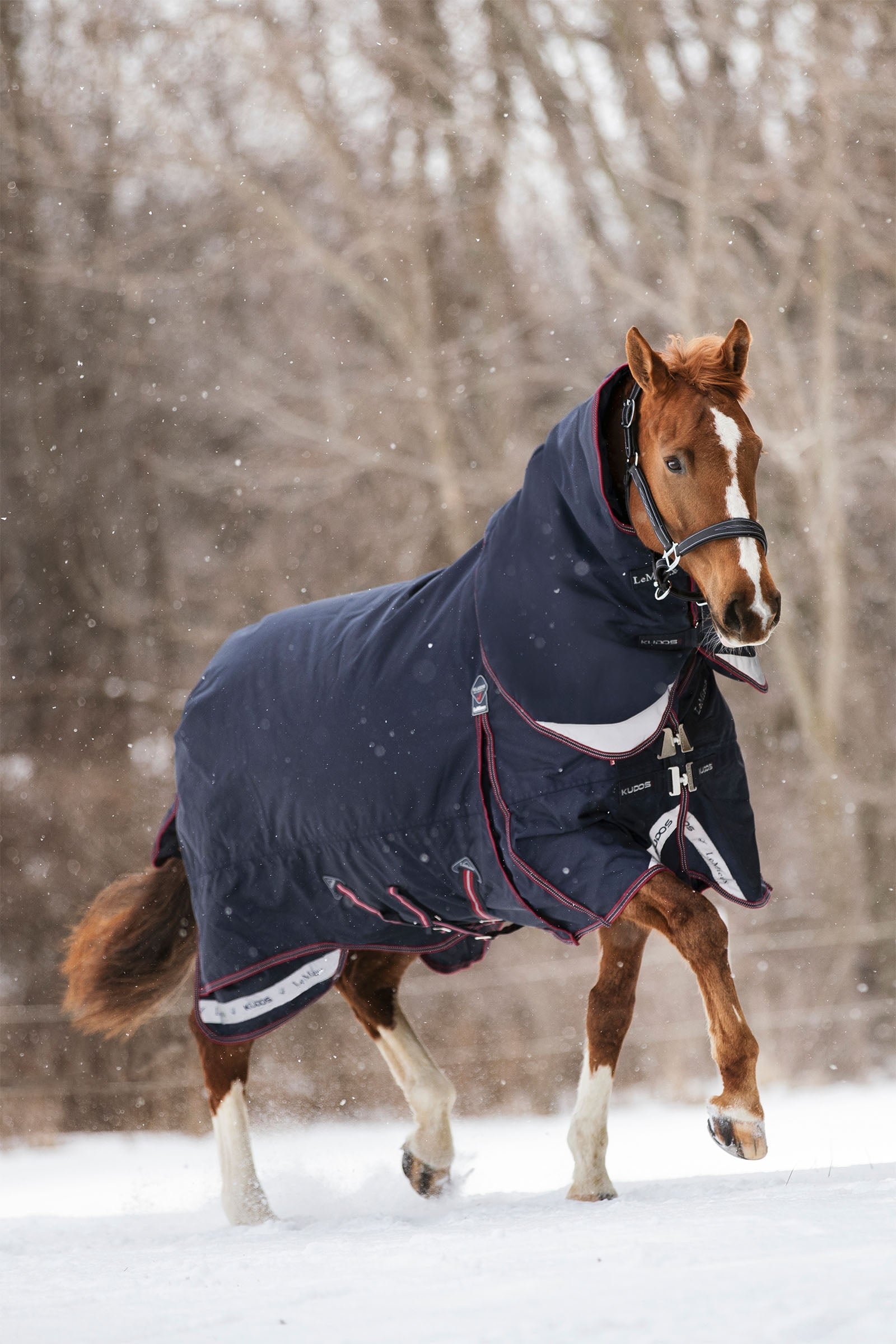 LeMieux Kudos výběhová deka 350g Horse Rugs