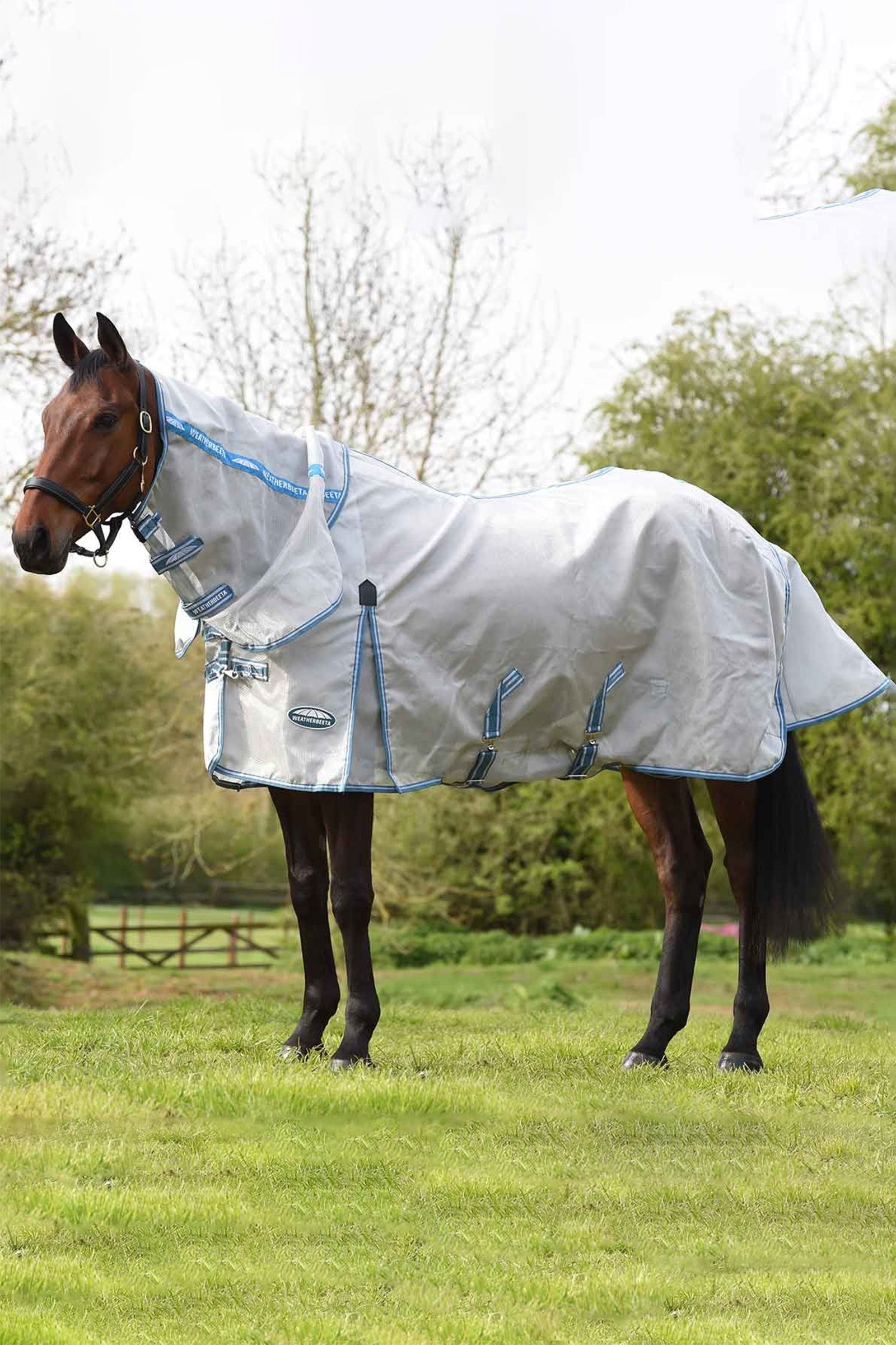 Weatherbeeta Comfitec Hexi Shield Combo letní oblečení Horse Rugs