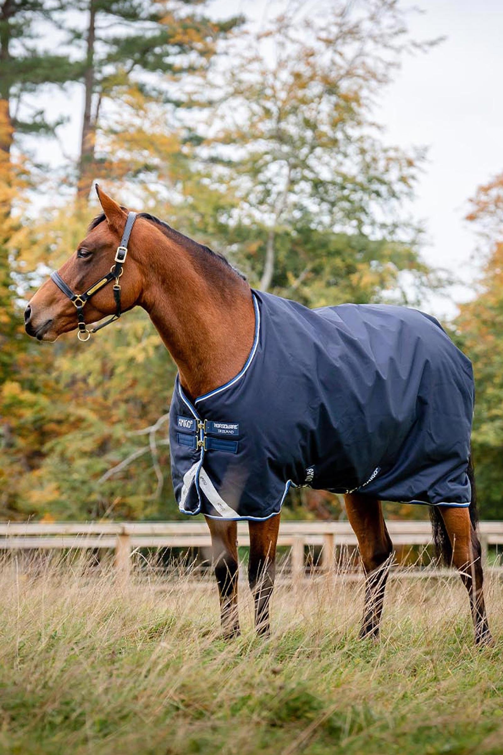 Horseware Amigo Bravo 12 Original výběhová deka, 250g Horse Rugs