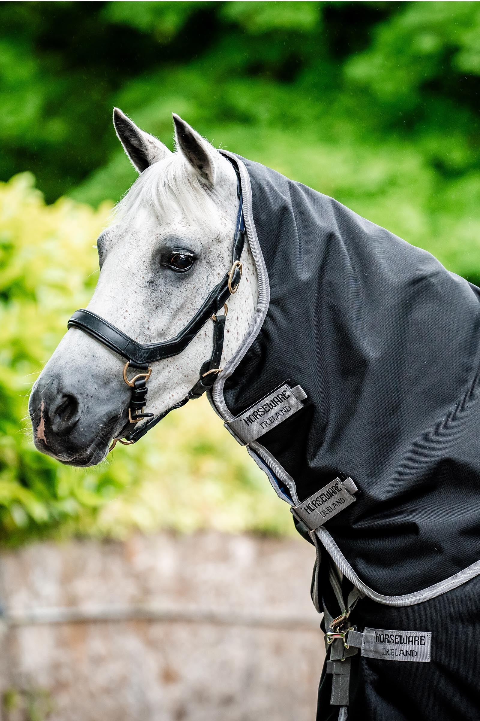 Horseware Amigo Bravo 12 Krční díl 0g Horse Rugs