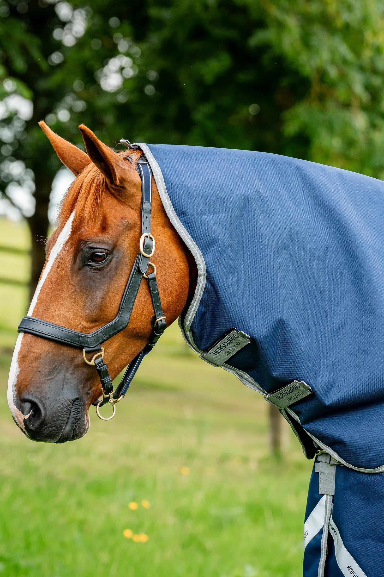 Horseware Amigo Bravo 12 Krční díl 0g Horse Rugs
