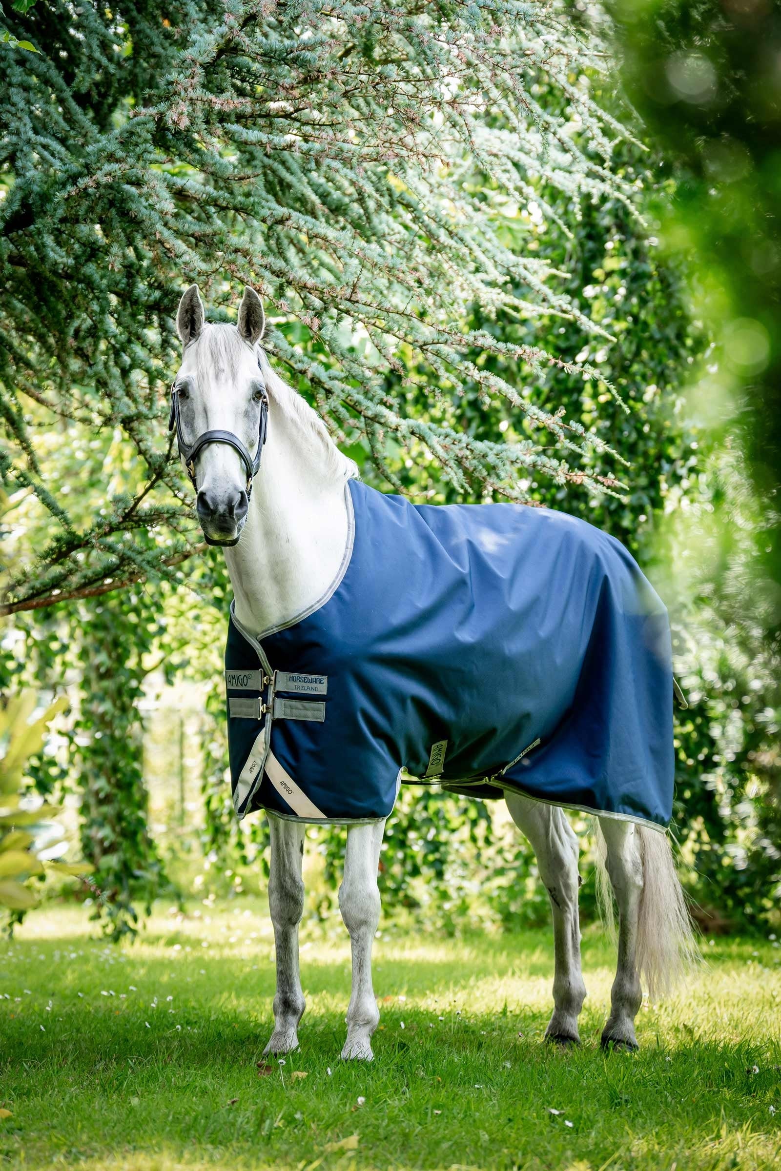 Horseware Amigo Bravo 12 výběhová deka, 100g Horse Rugs