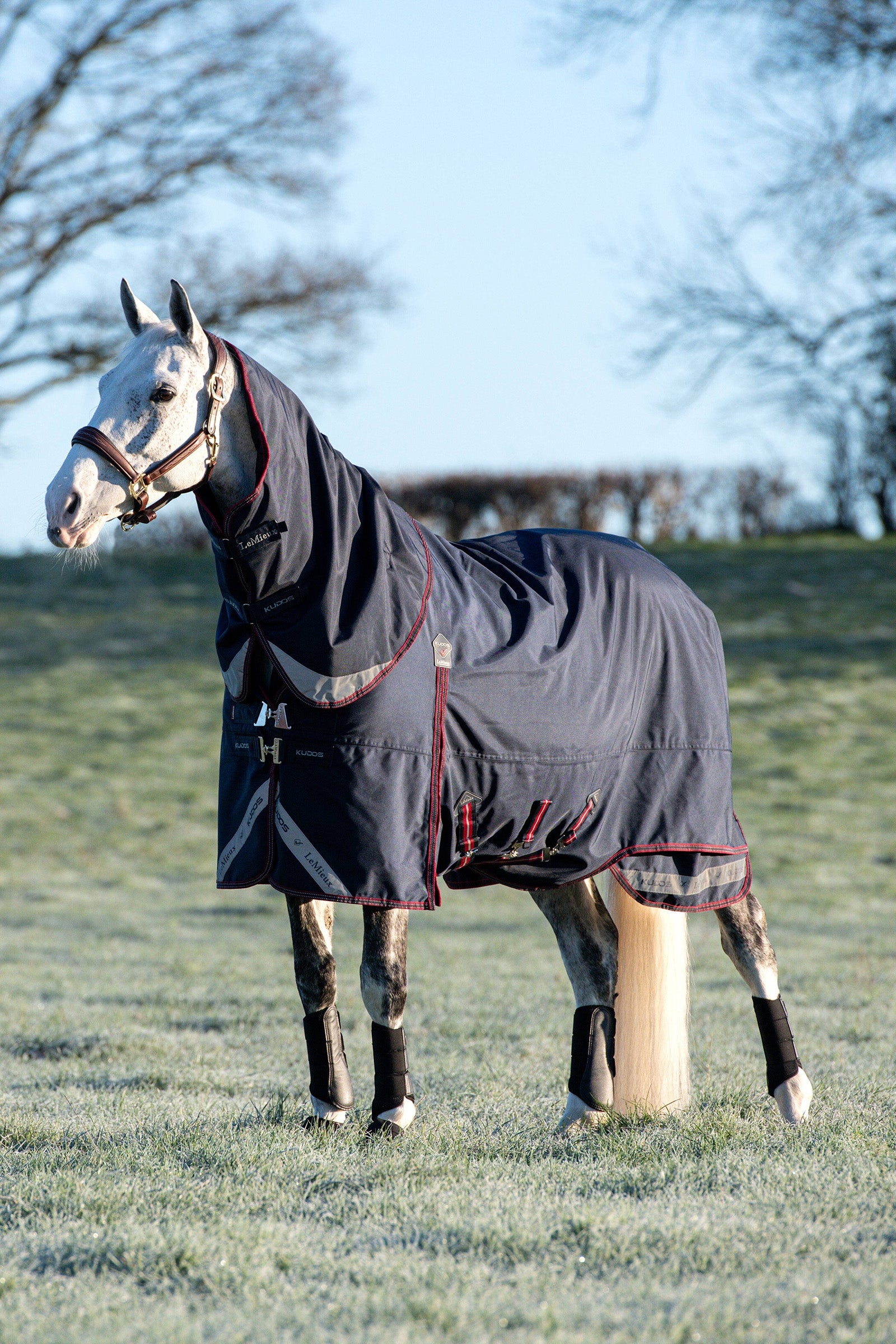 LeMieux Kudos lehká výběhová deka 100g Horse Rugs
