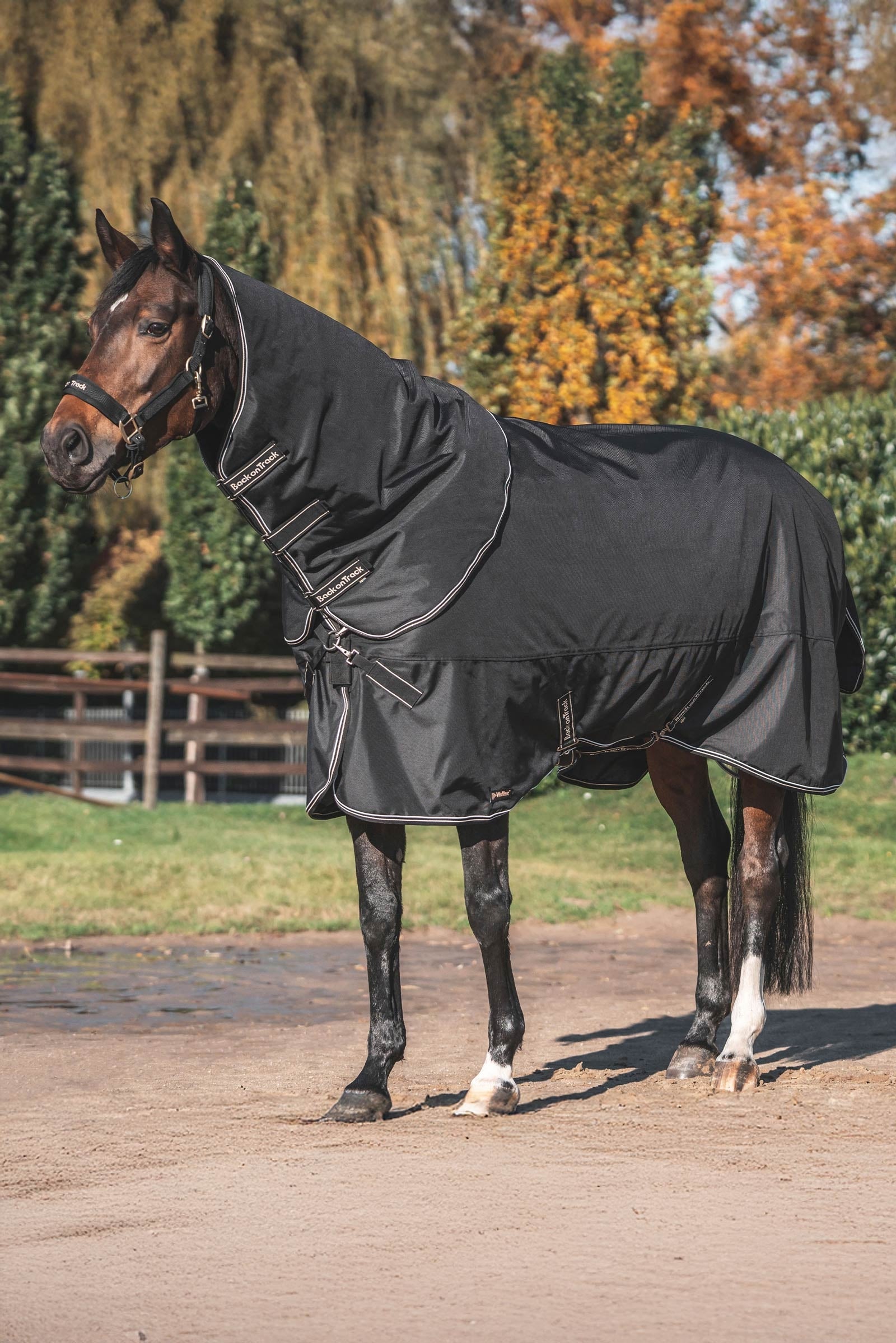 Back on Track Obsidian Výběhové deky s odnímatelným krčním dílem, 150g Horse Rugs