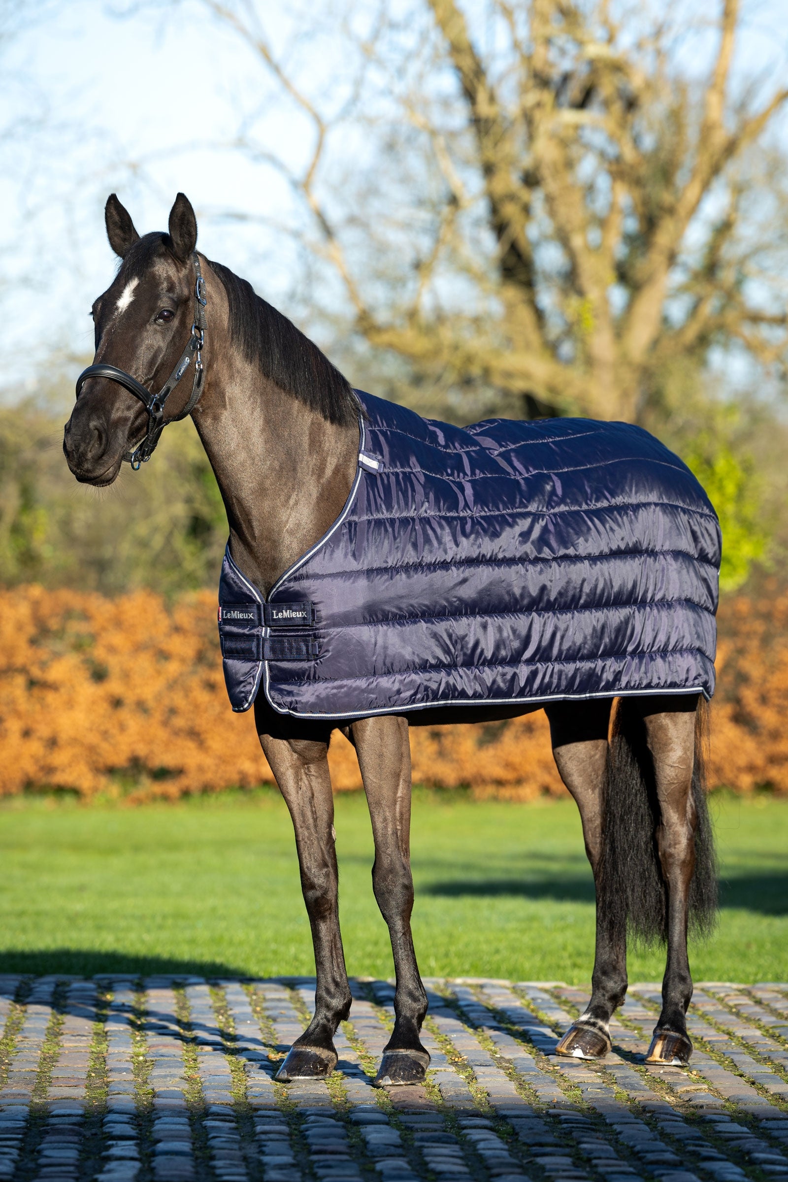 LeMieux vnitřní vložka pod deku, 100 g Horse Rugs