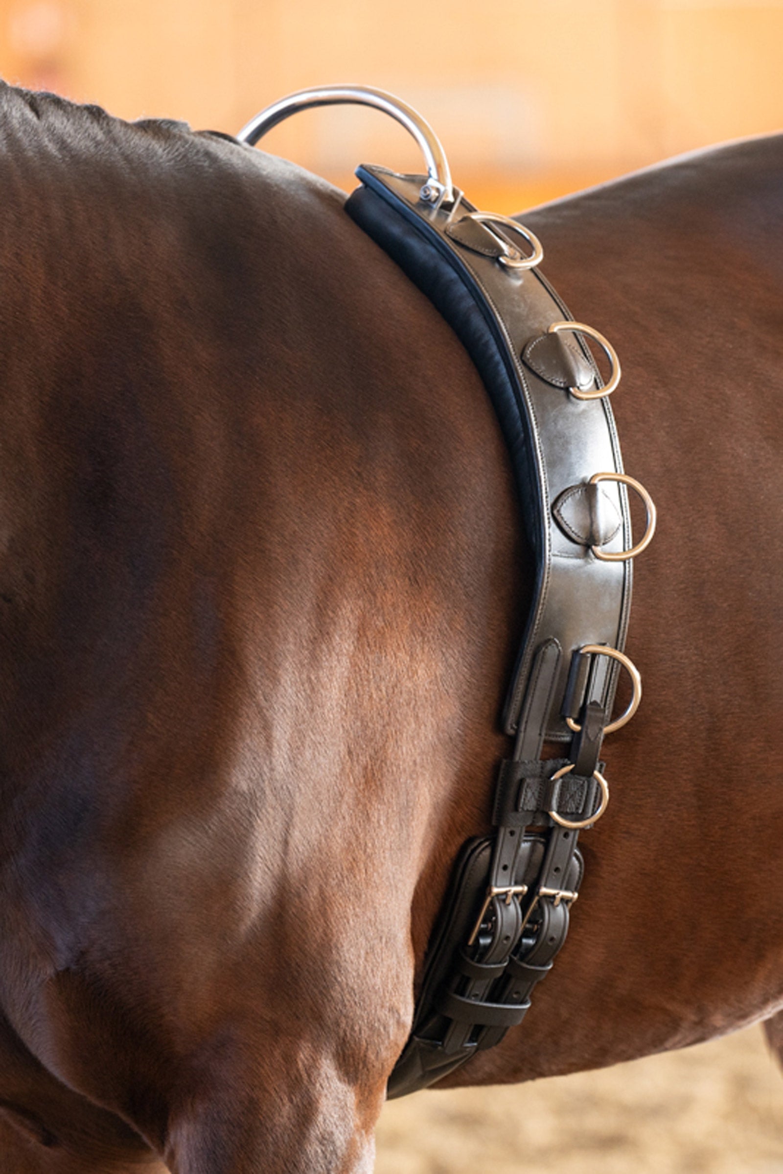 Kavalkade Kožený obvod na lonžování s rámem Saddles, Girths & Stirrups