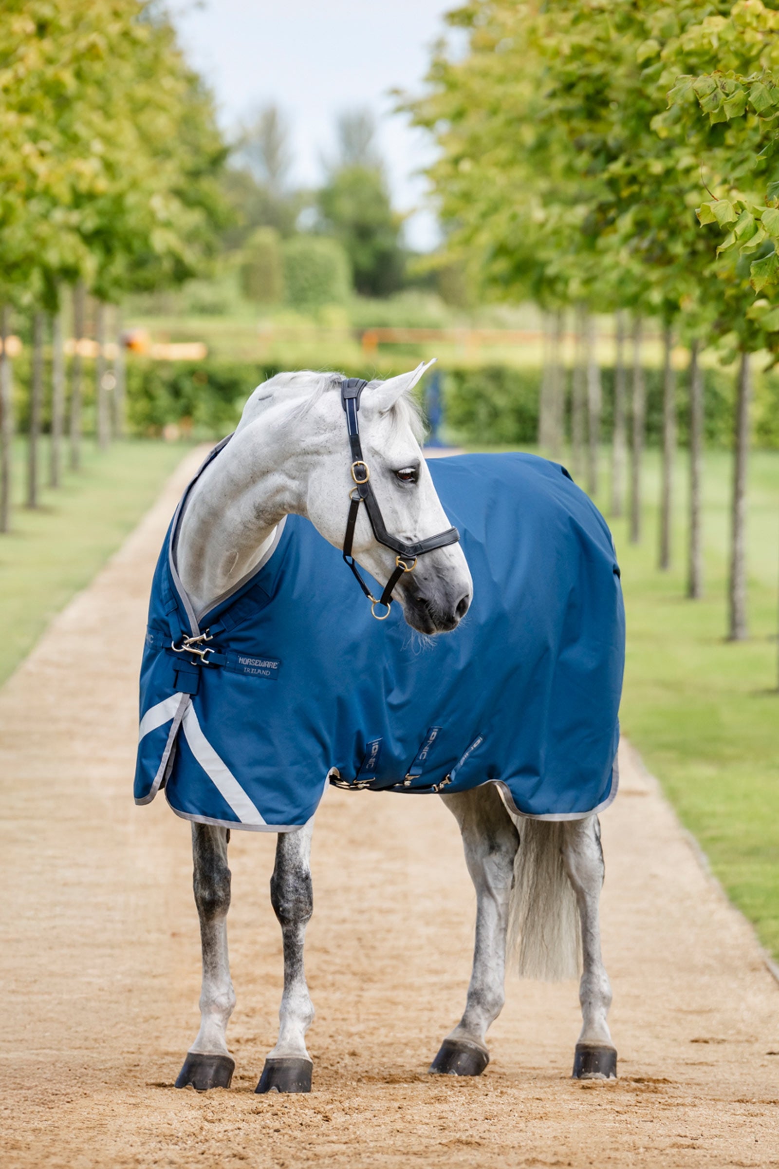 Horseware Ionic Therapy Výběhová deka, 100g Horse Rugs