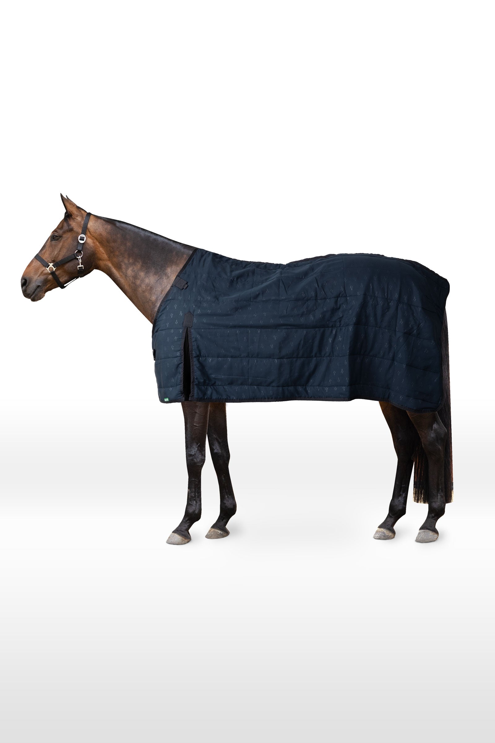 Horze podšívka, 100 g Horse Rugs