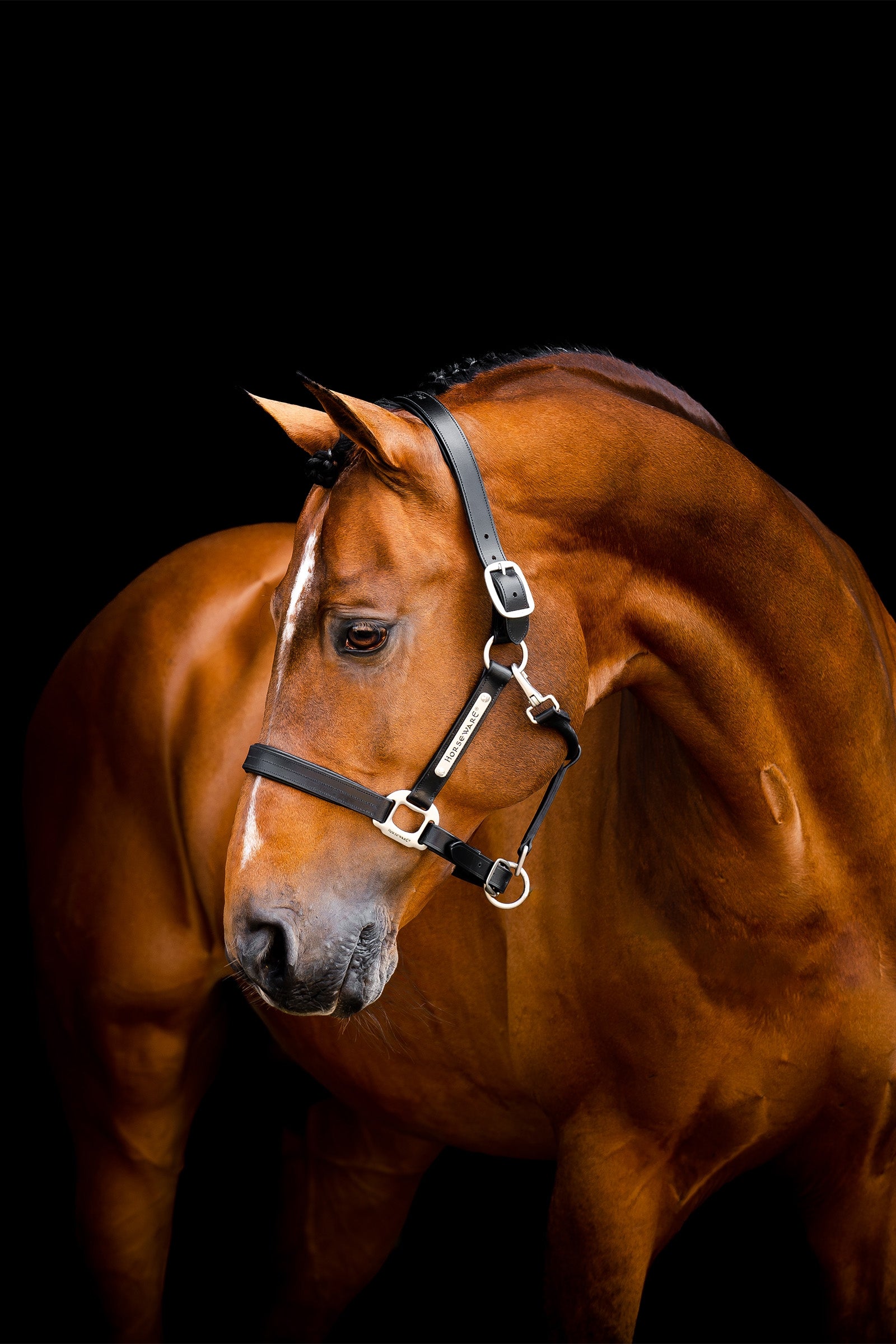 Horseware Kožená ohlávka Signature Halters & Leads