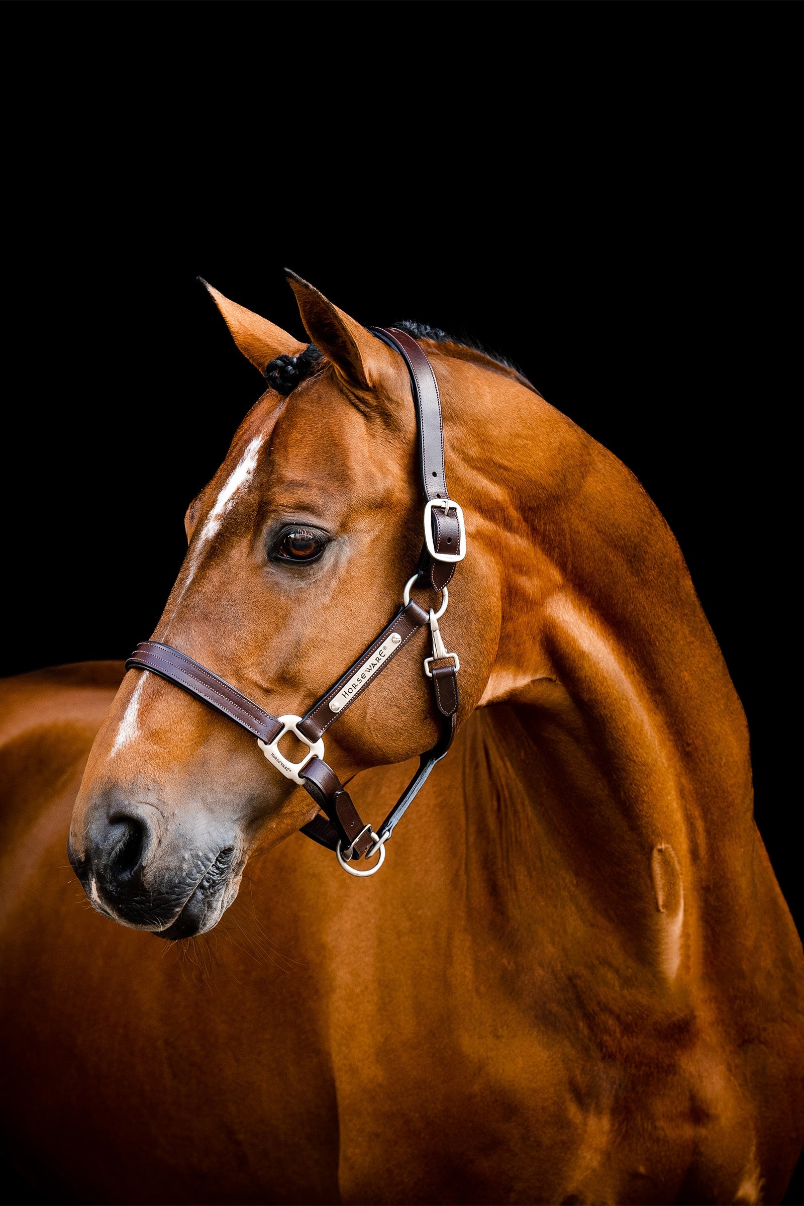 Horseware Kožená ohlávka Signature Halters & Leads