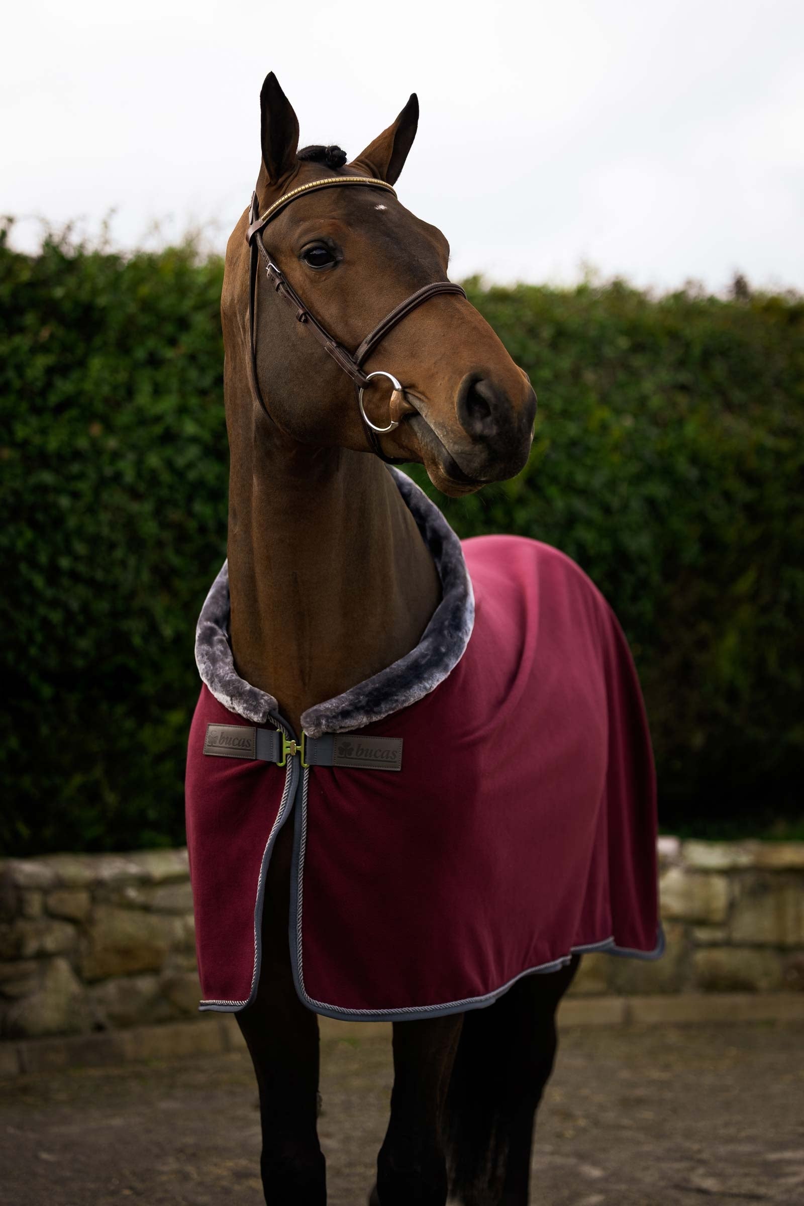 Bucas Show-Line Fleece Rug, 400 g Horse Rugs
