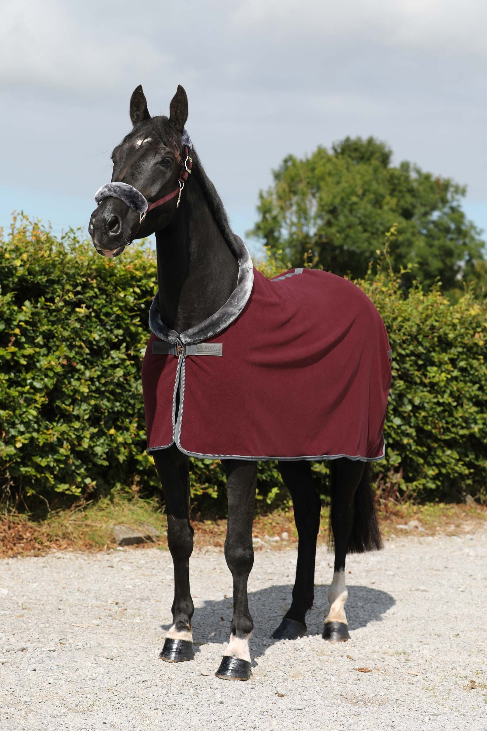 Bucas Show-Line Fleece Rug, 400 g Horse Rugs