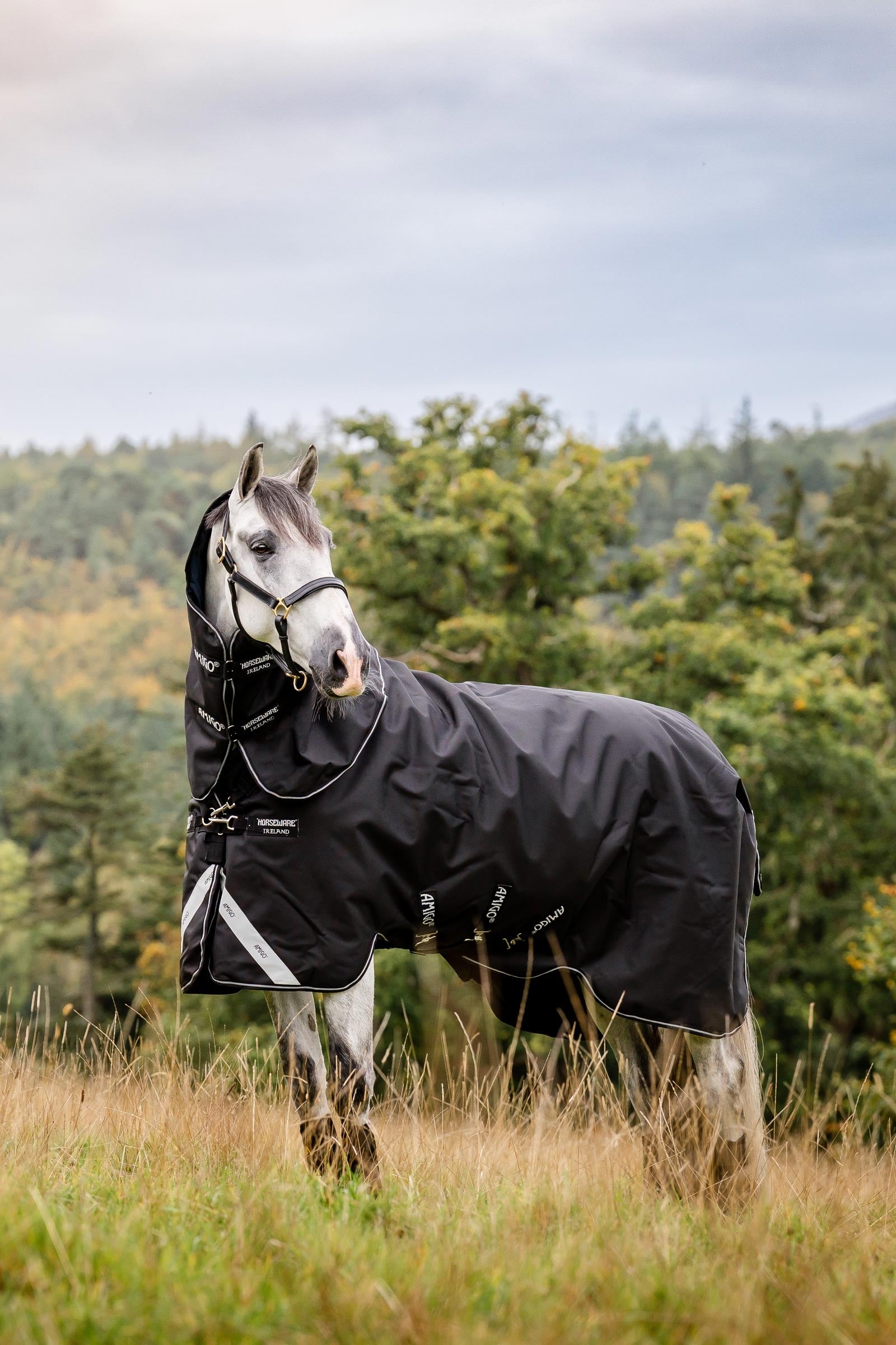 Horseware Amigo Super Bravo Plus výběhová deka s odnímatelnou krční částí, 250 g Horse Rugs