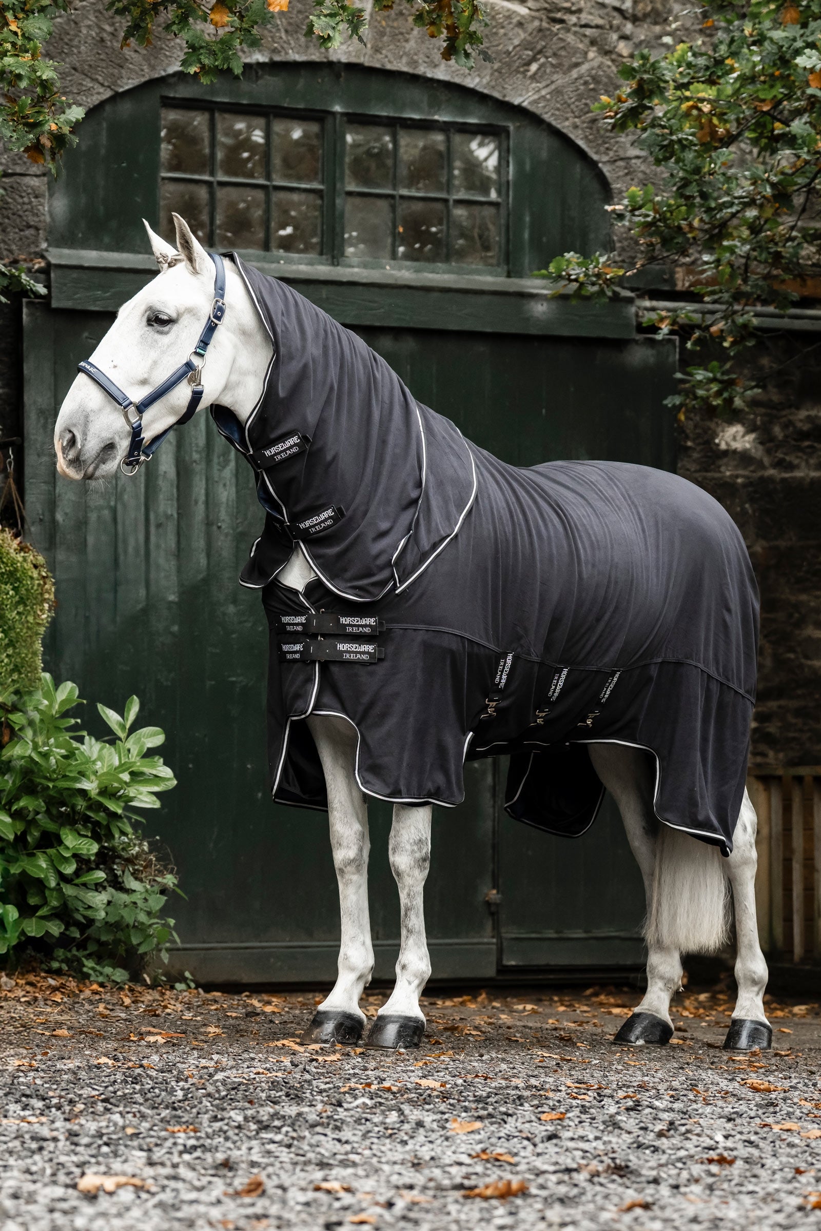Horseware Show Ready deka Horse Rugs