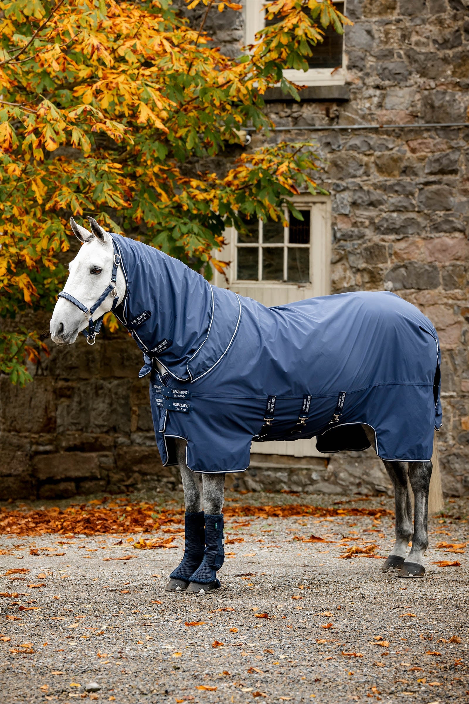 Horseware Show Ready deka Horse Rugs