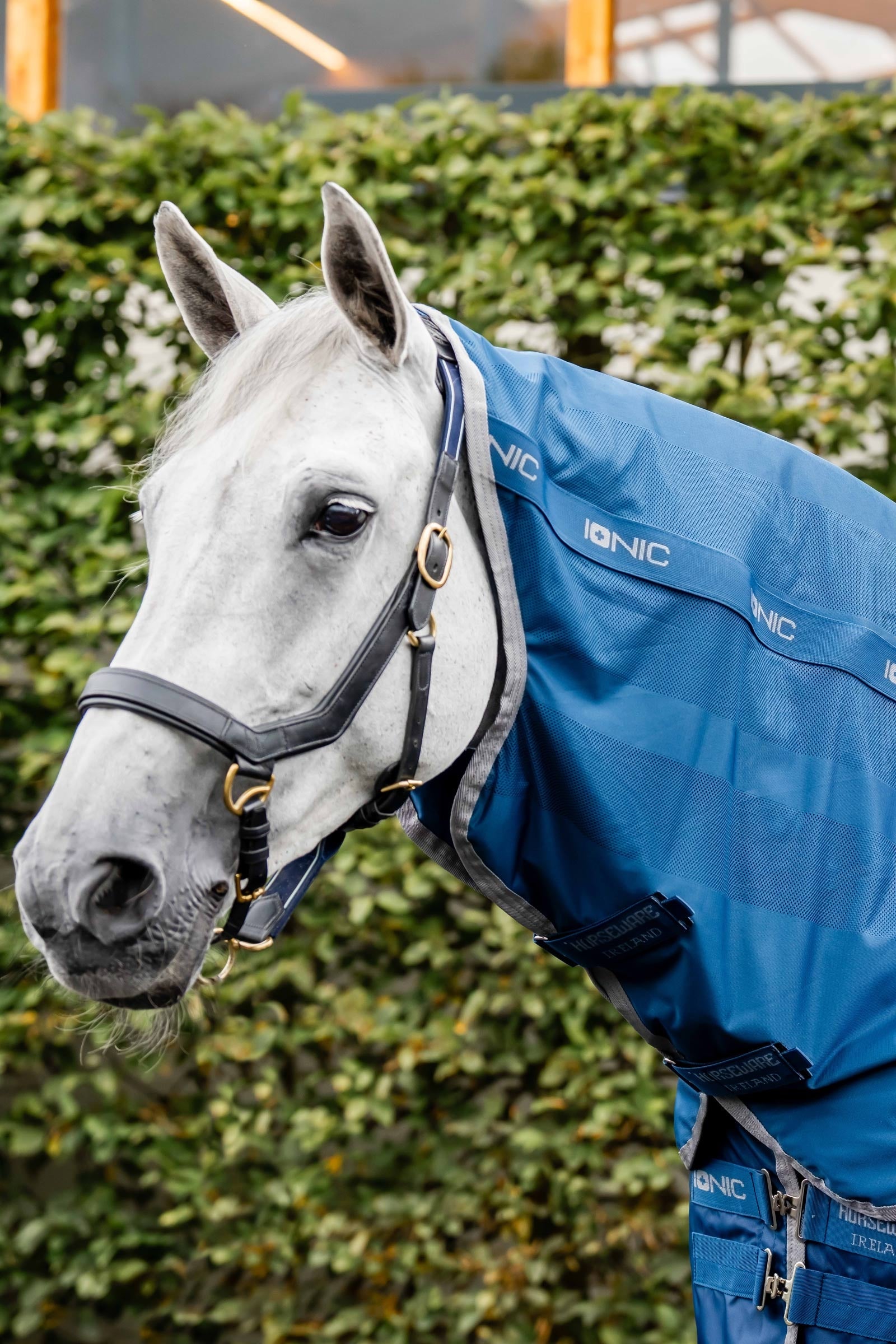 Horseware Ionic Therapy Nákrčník pro Mesh Chladicí koberec Horse Rugs