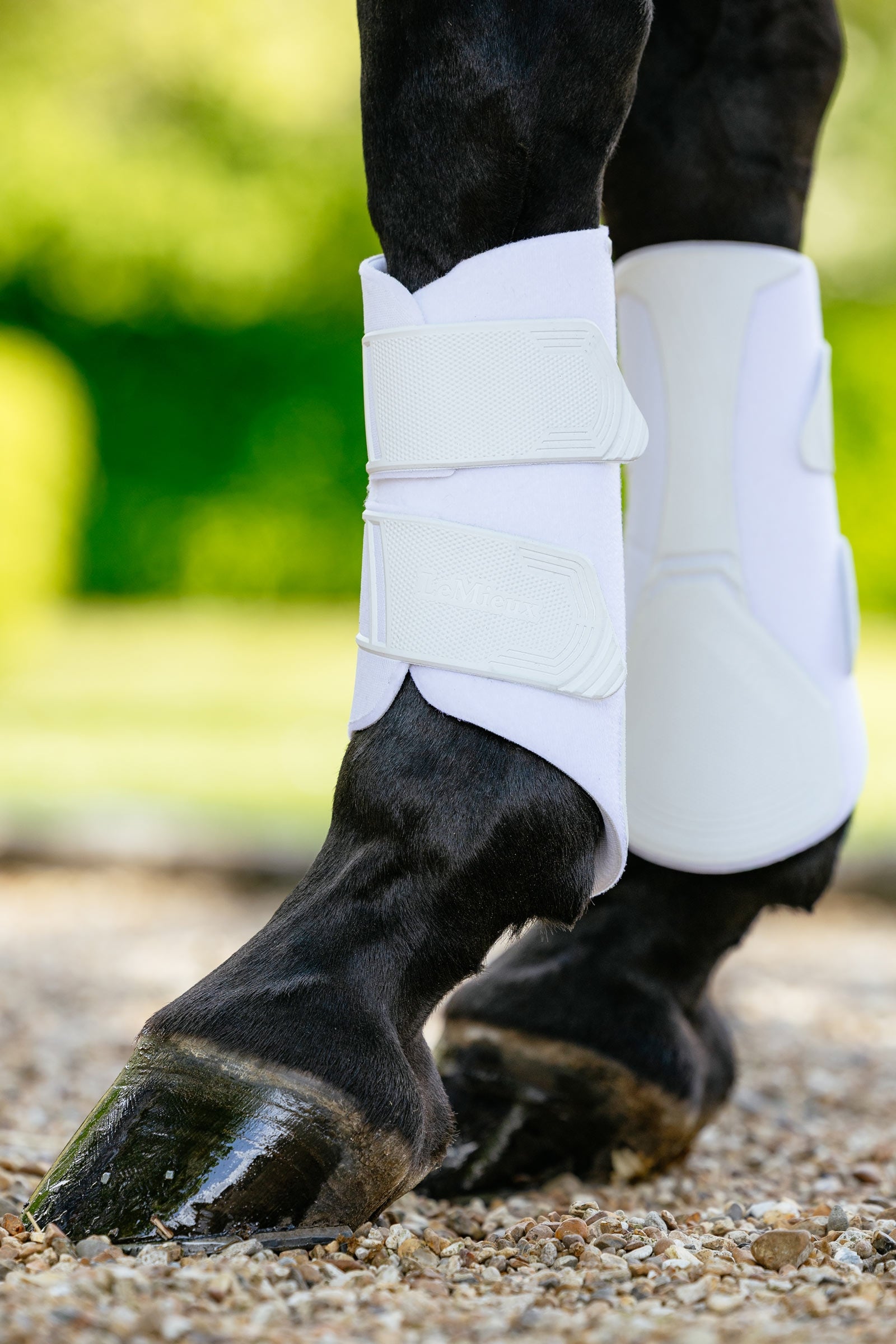 LeMieux Technical drezurní šlachové chrániče Leg Protection & Hoof Protection for Horses