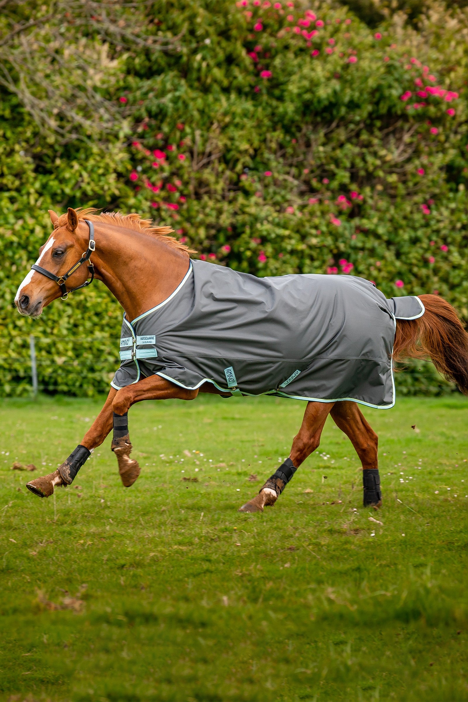 Horseware Amigo Hero Ripstop výběhová deka s fleecovou podšívkou, 50g Horse Rugs