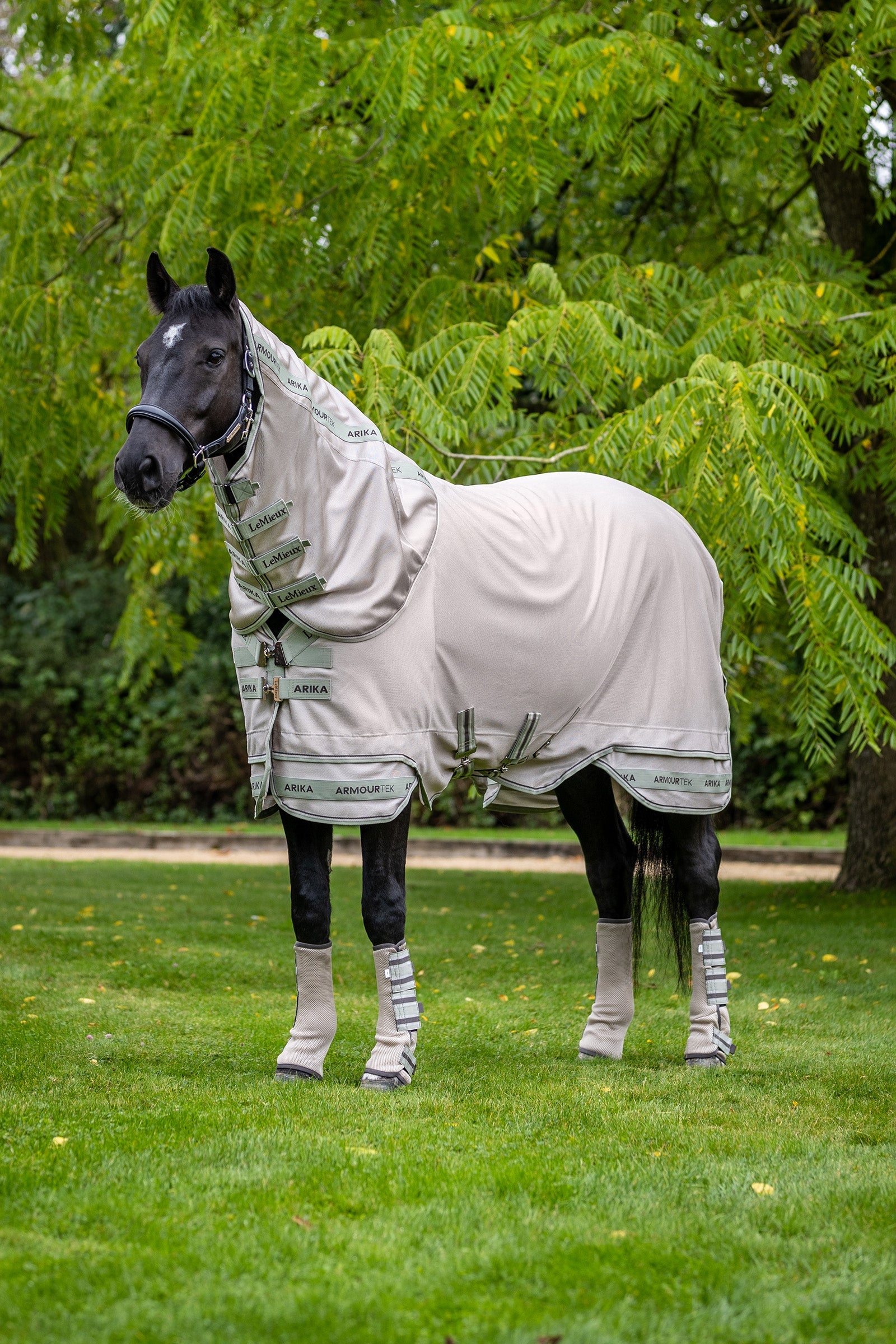 LeMieux Arika Armour-Tek Letní deka s odnímatelným krčním dílem Horse Rugs